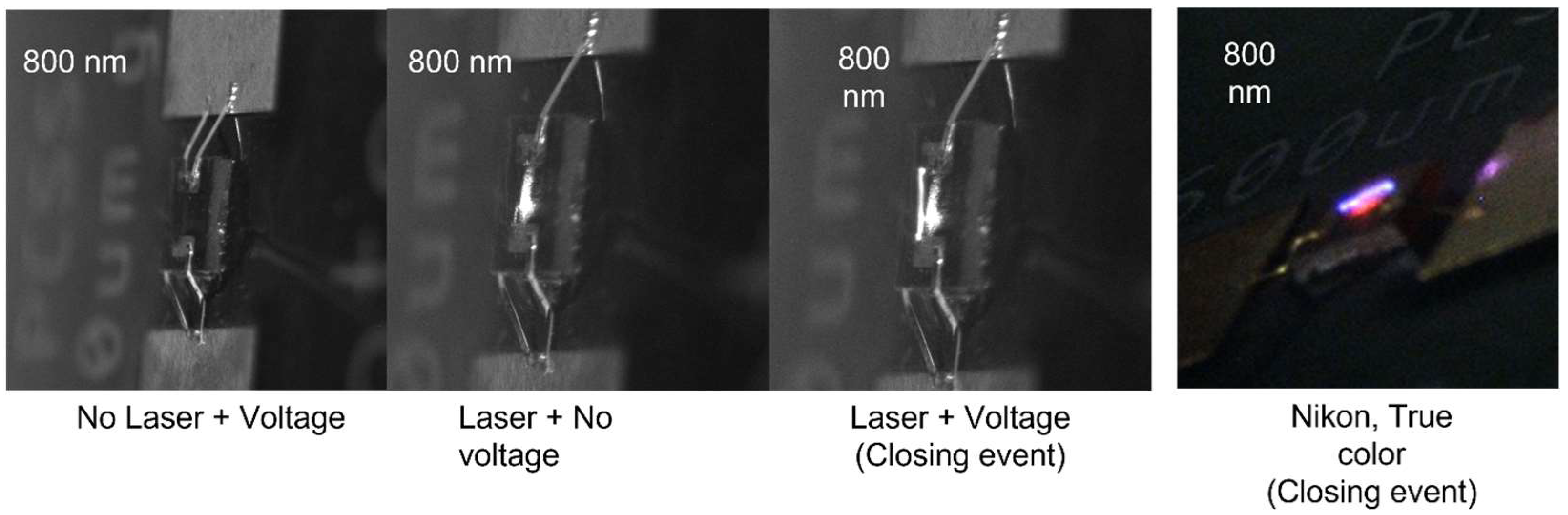 Applsci 15 00645 g013