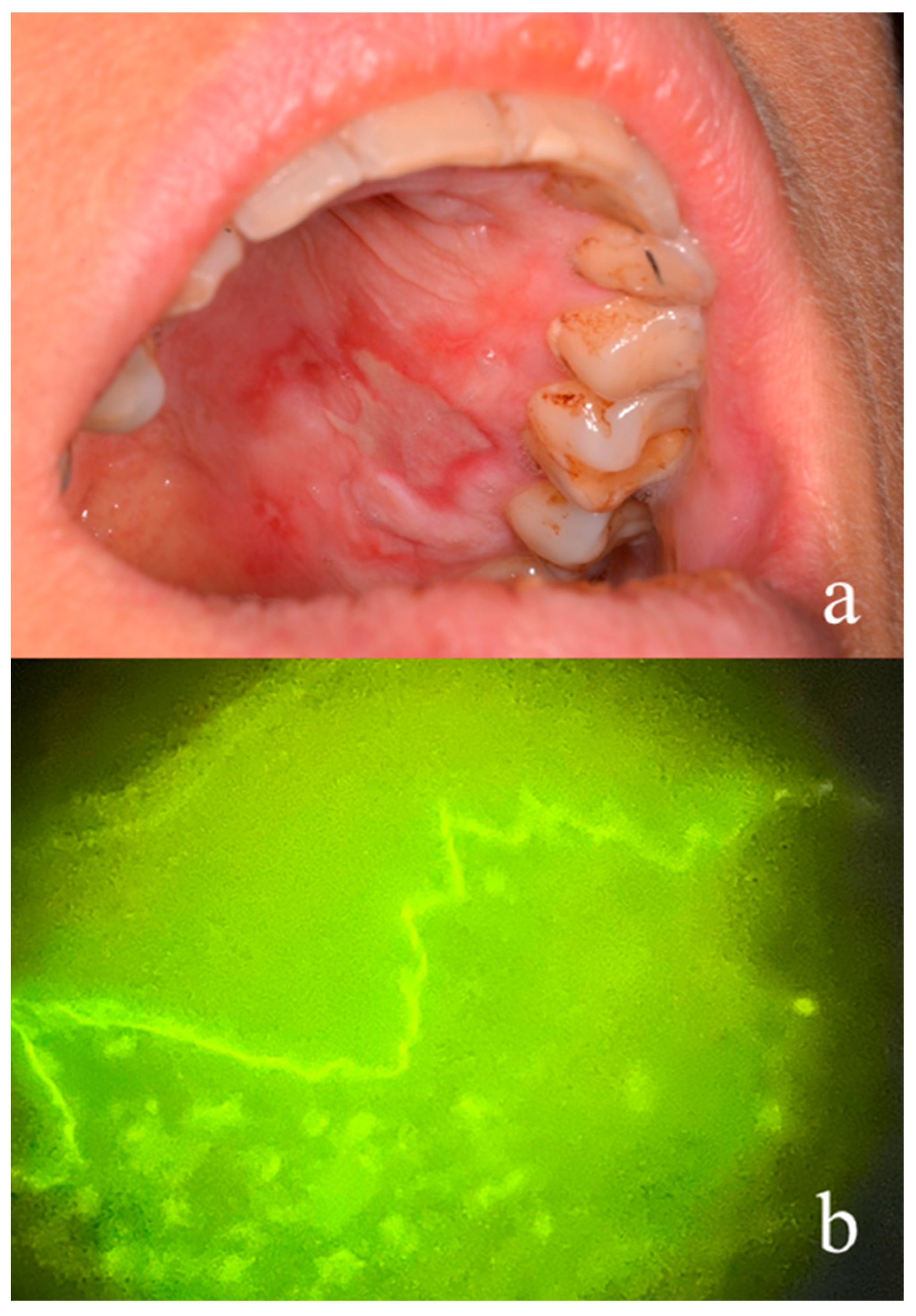 Applsci 15 00689 g001 Applsci 15 00689 g001