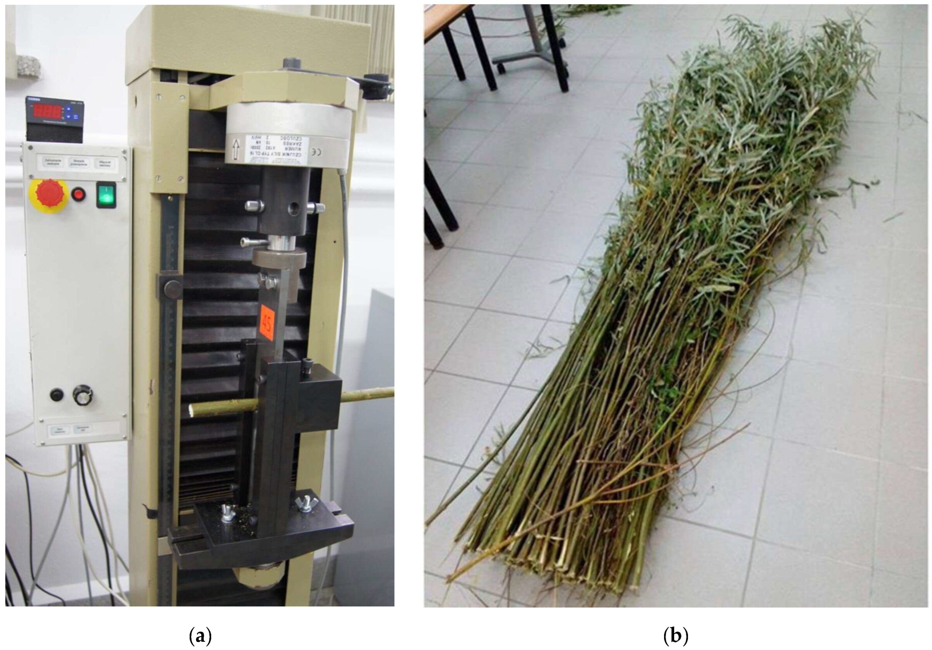 Applsci 15 00696 g001