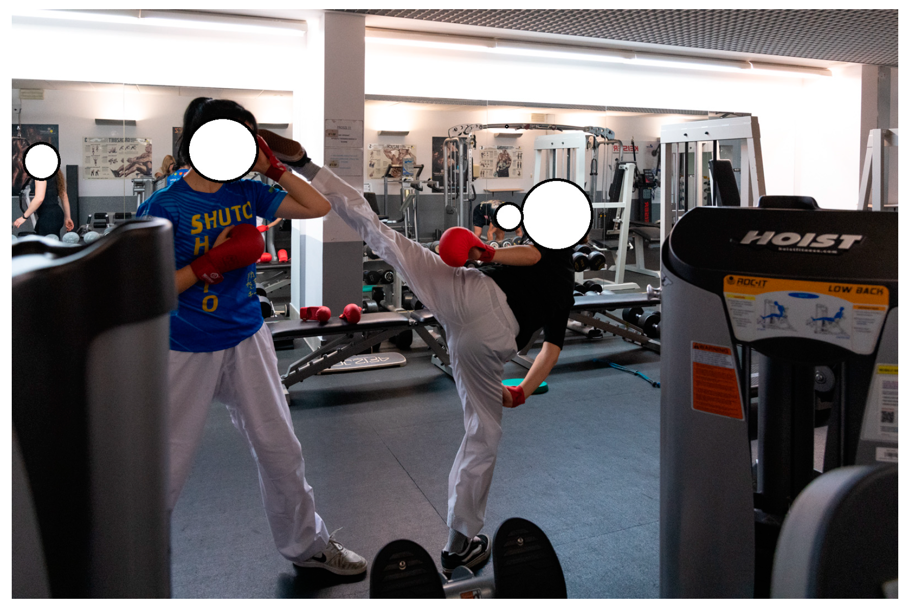 Applsci 15 00888 g002