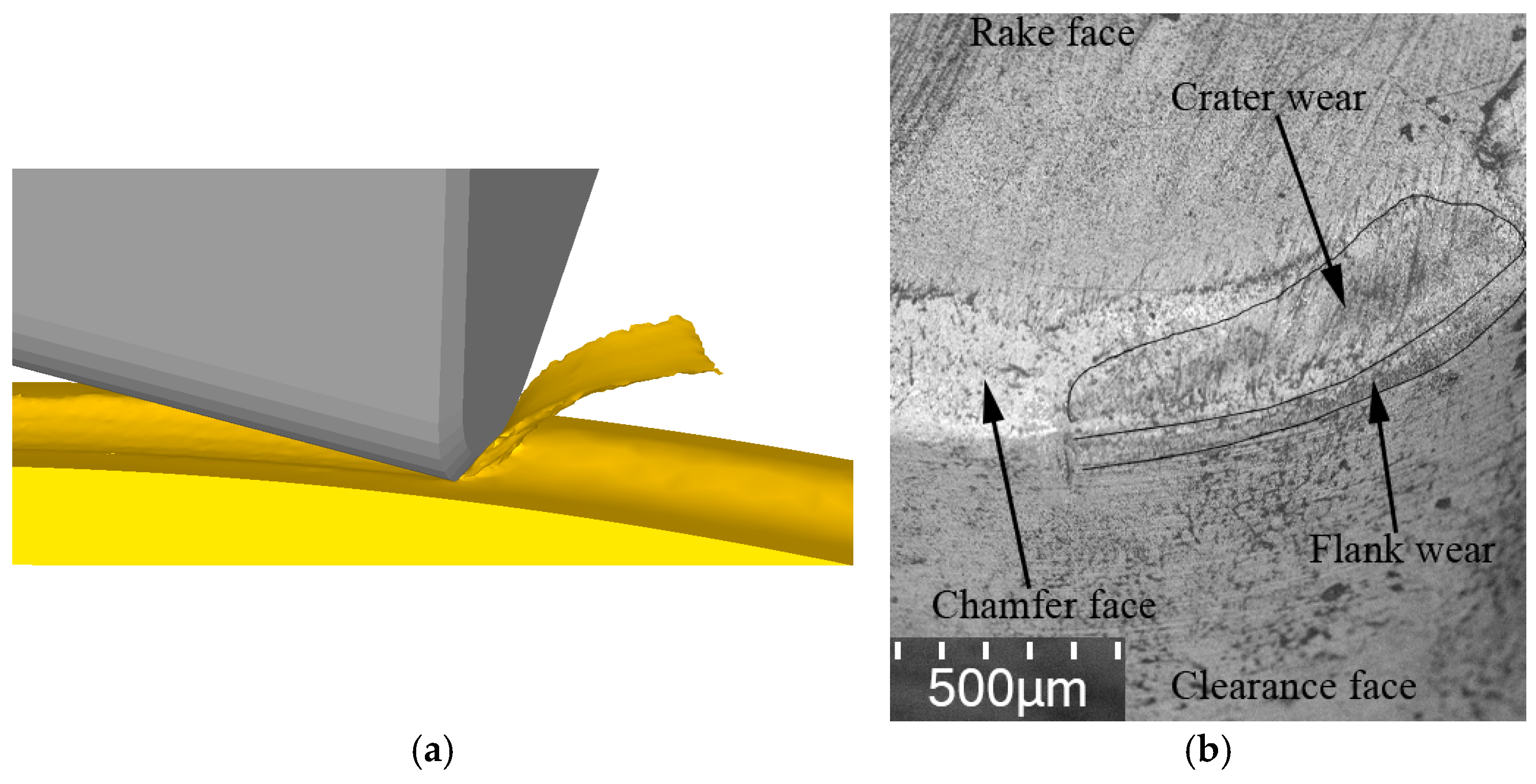 Applsci 15 00983 g005
