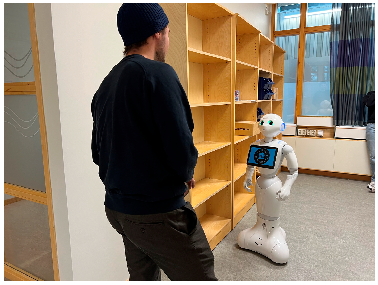 Applsci 15 01127 g001