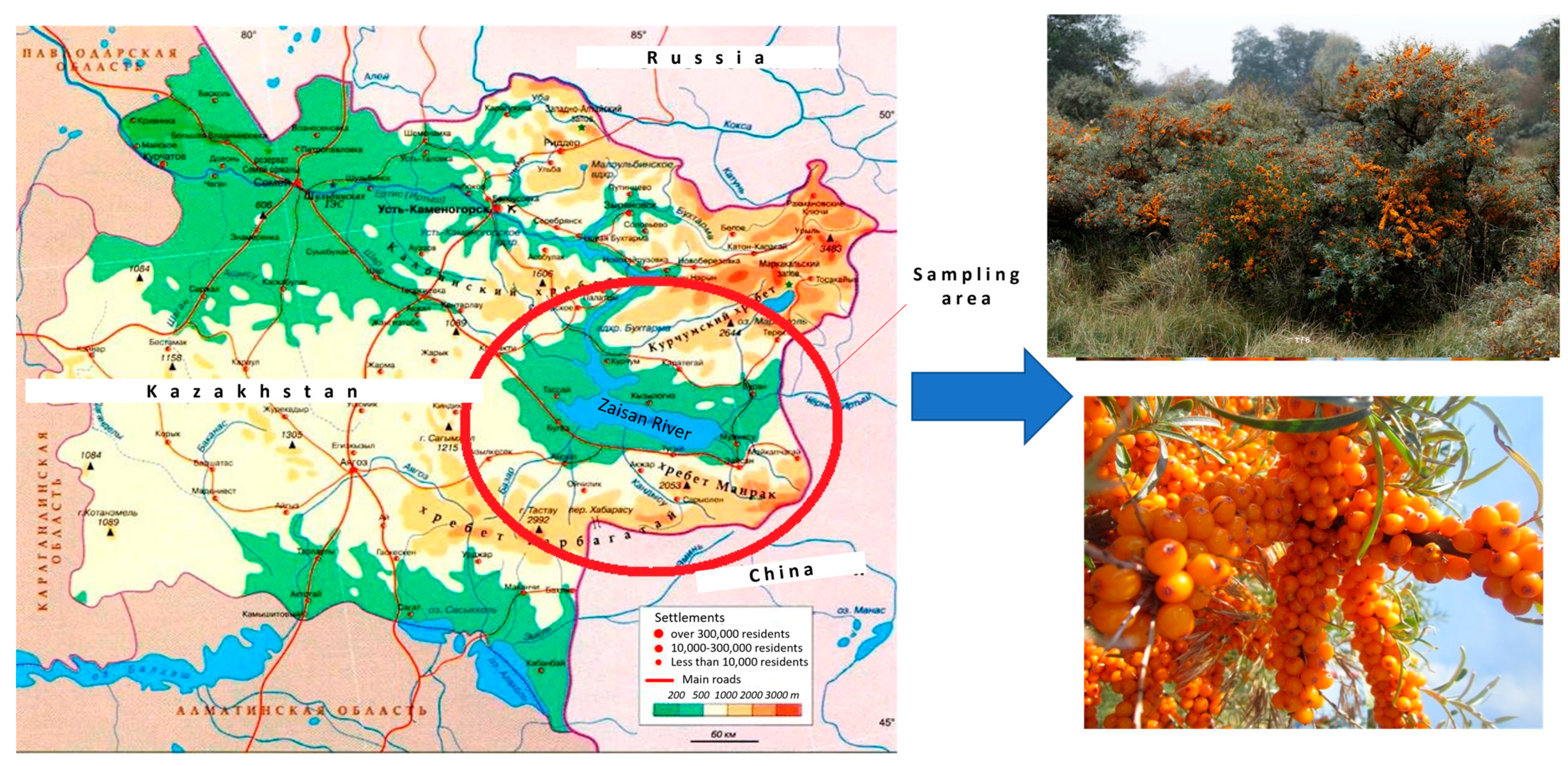 Applsci 15 01130 g001