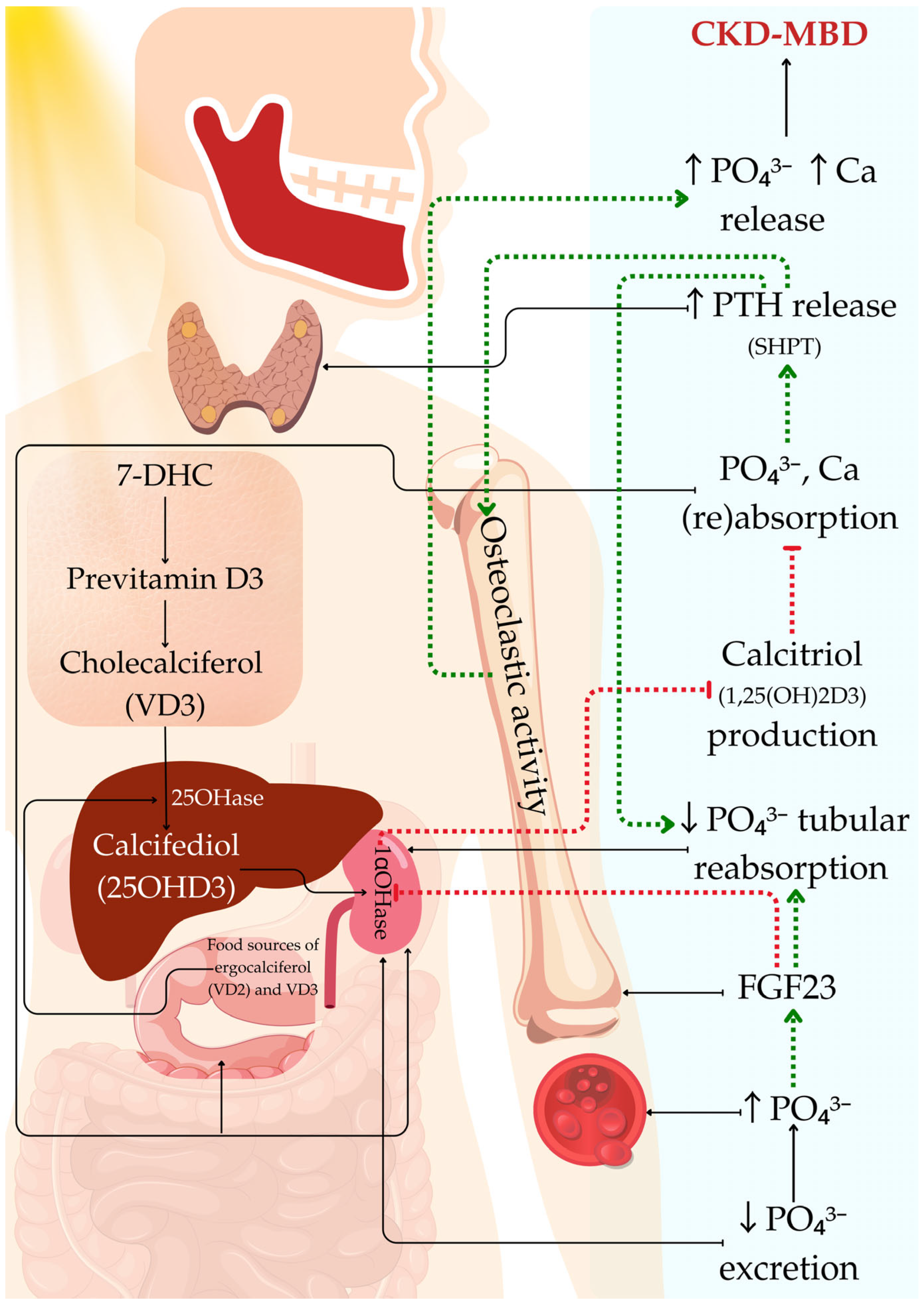 Applsci 15 01164 g001