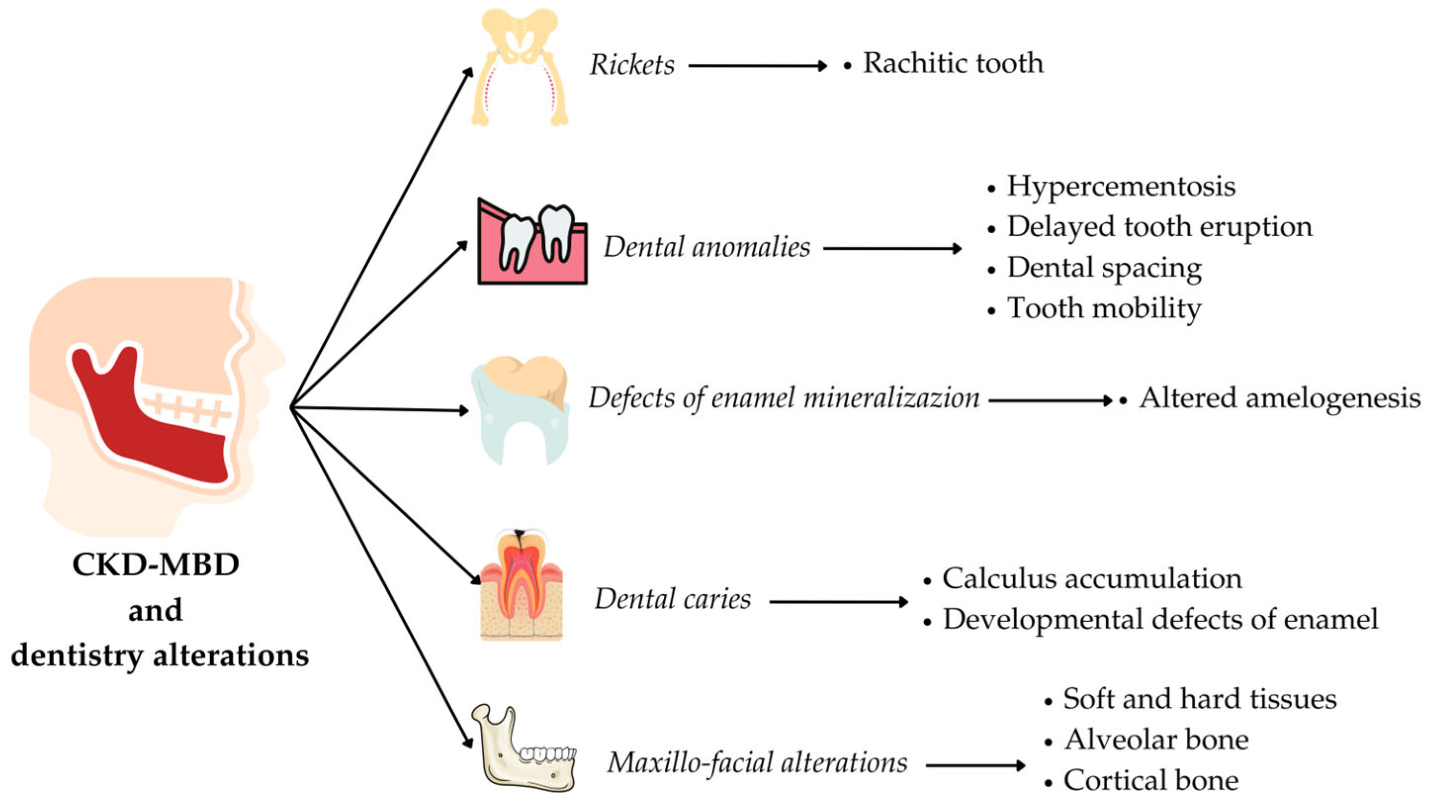 Applsci 15 01164 g002