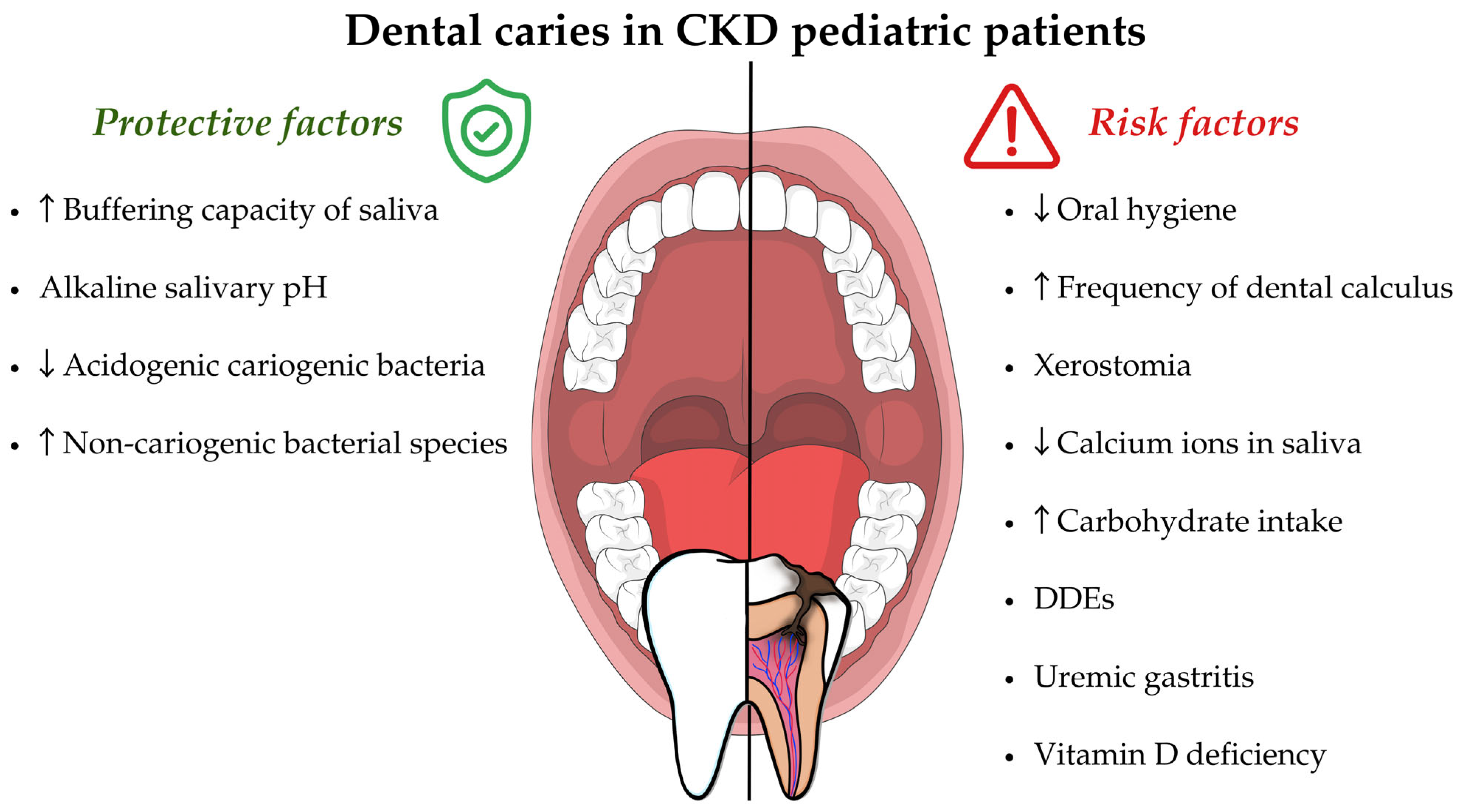 Applsci 15 01164 g003