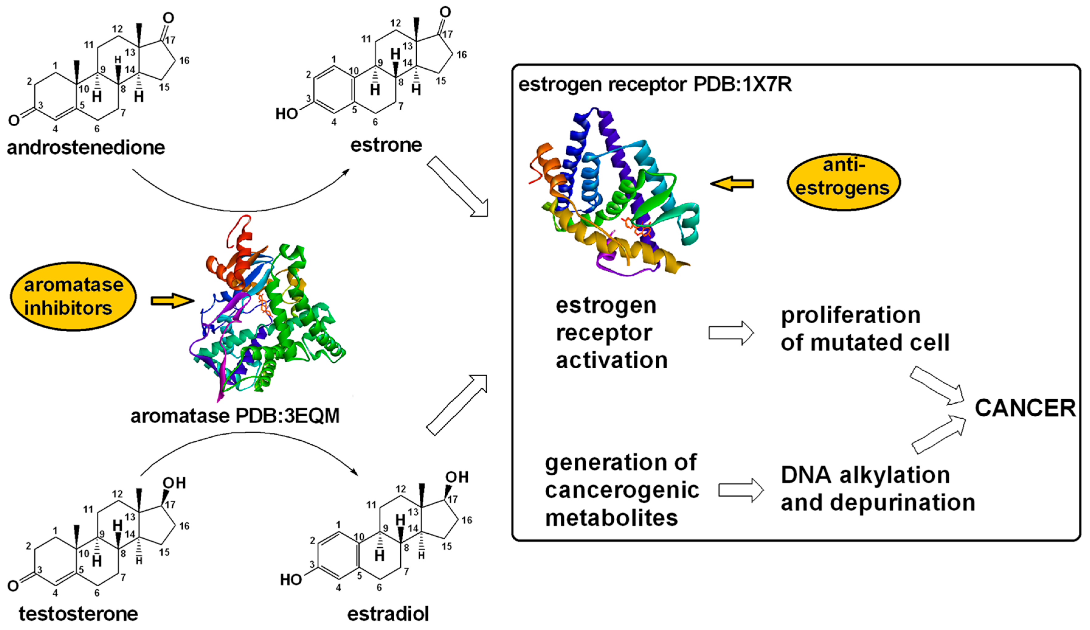Applsci 15 01206 g004