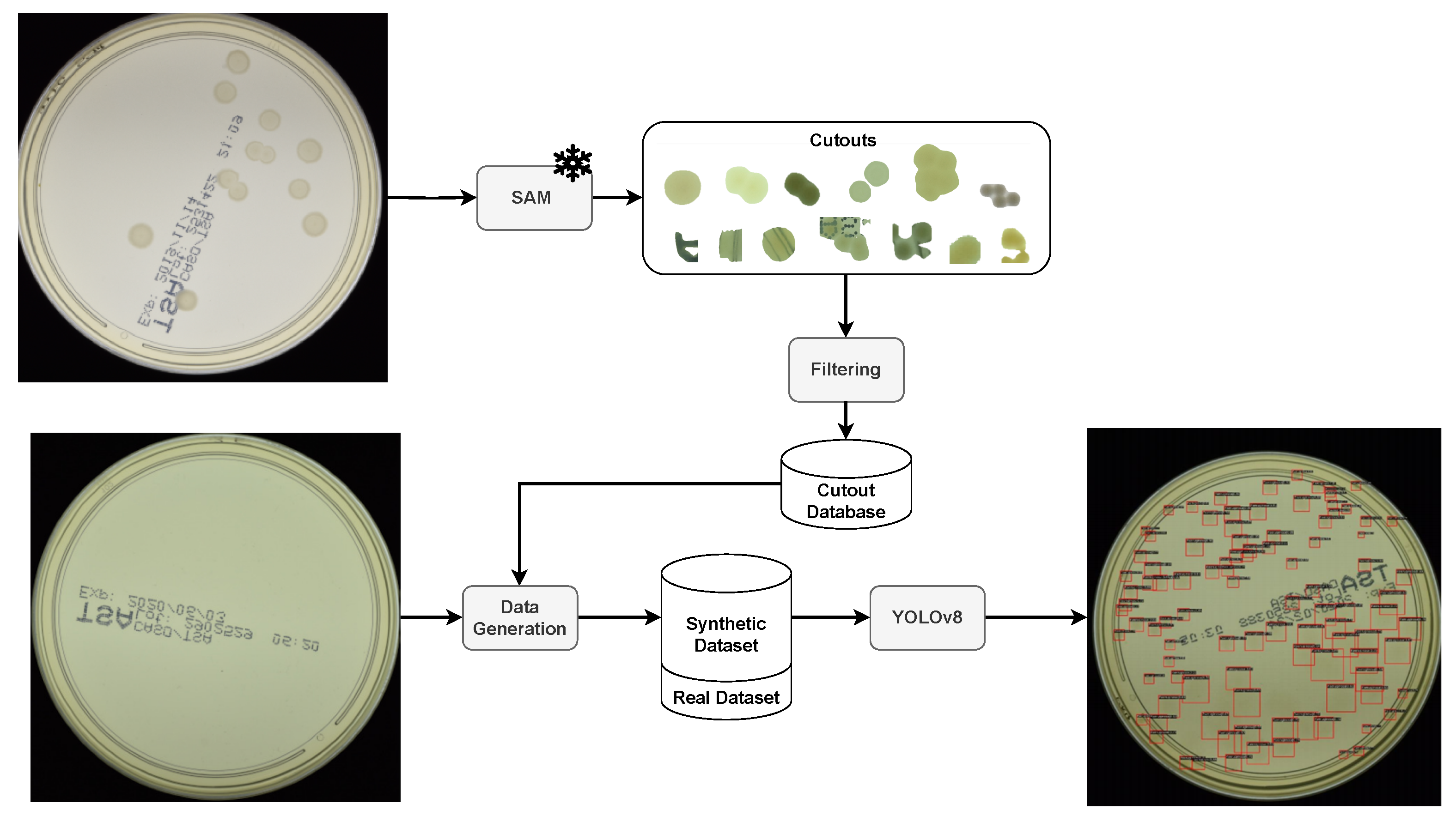 Applsci 15 01260 g001
