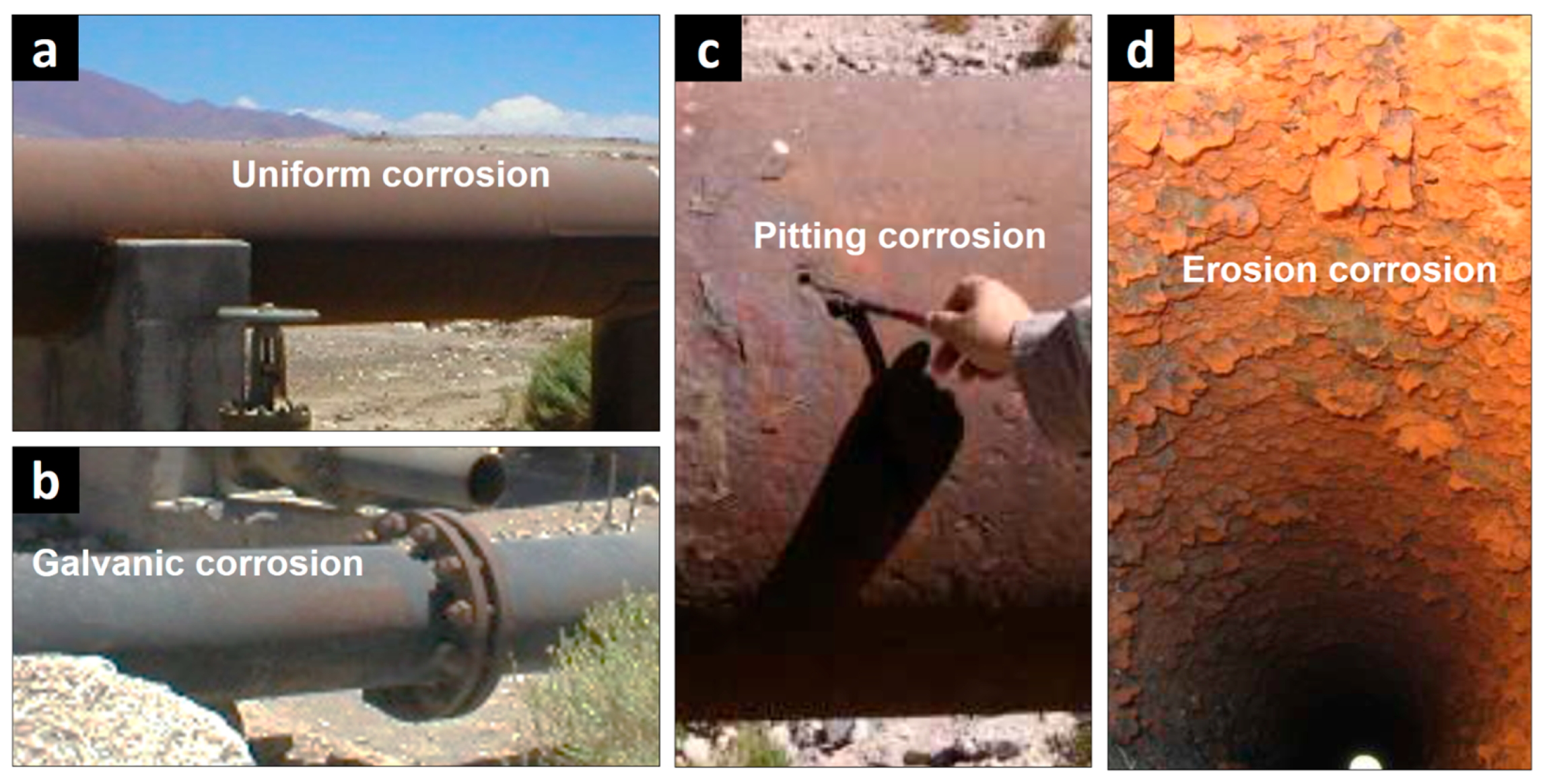 Applsci 15 01316 g002