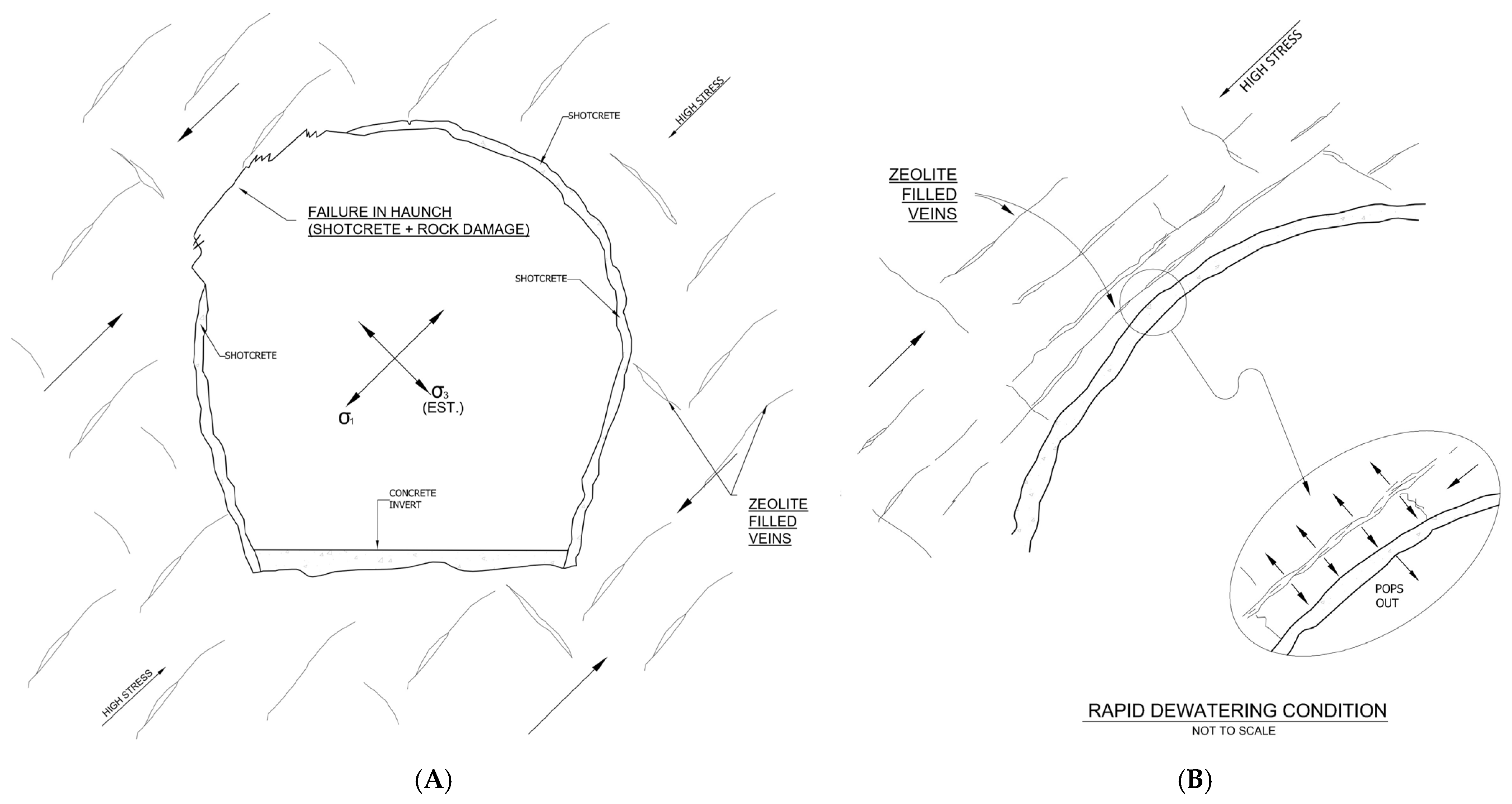 Applsci 15 01437 g005