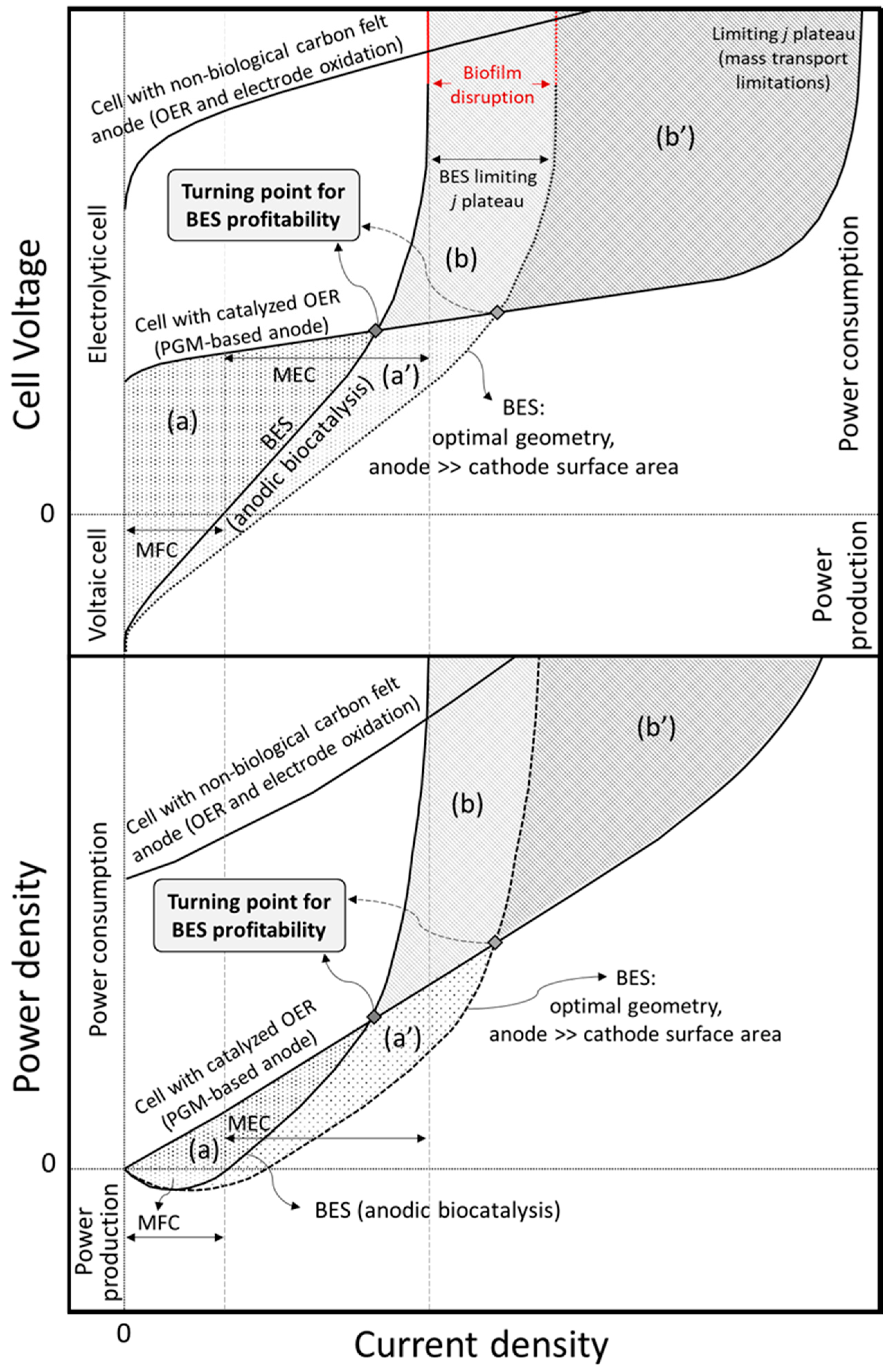 Applsci 15 01456 g005