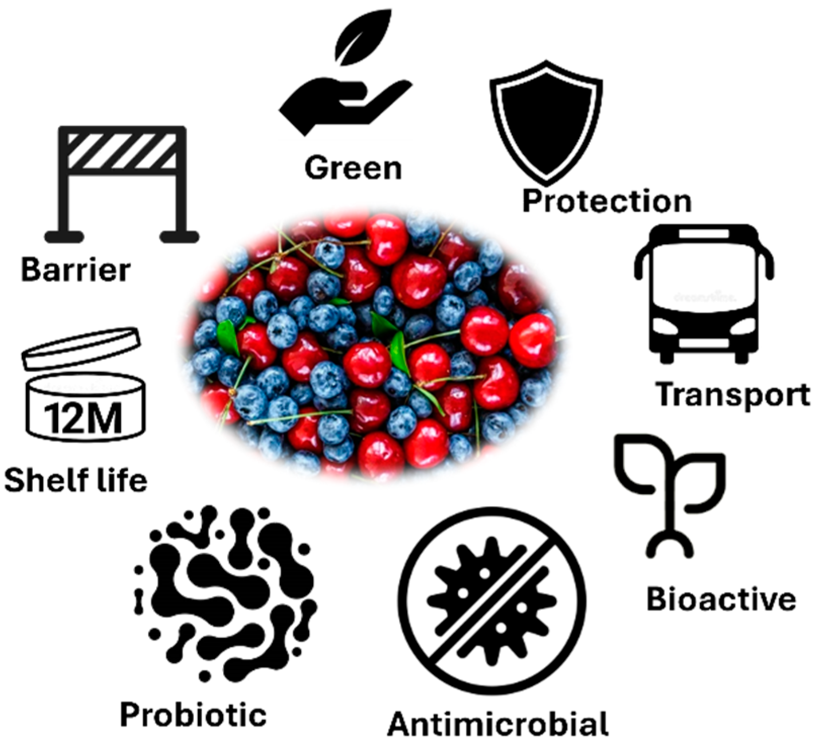 Applsci 15 01462 g001