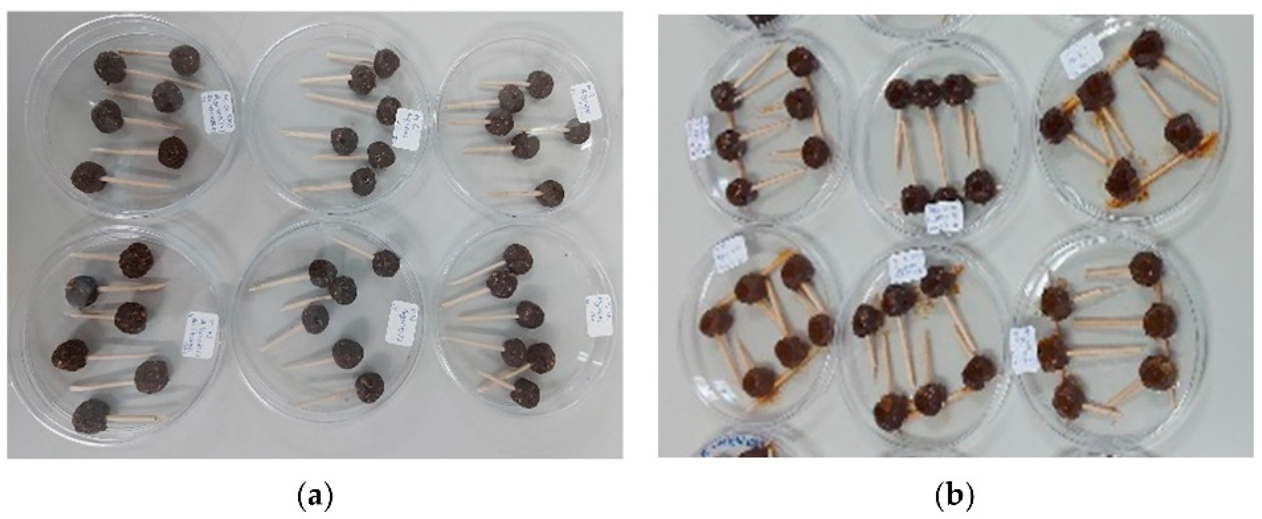 Applsci 15 01462 g002