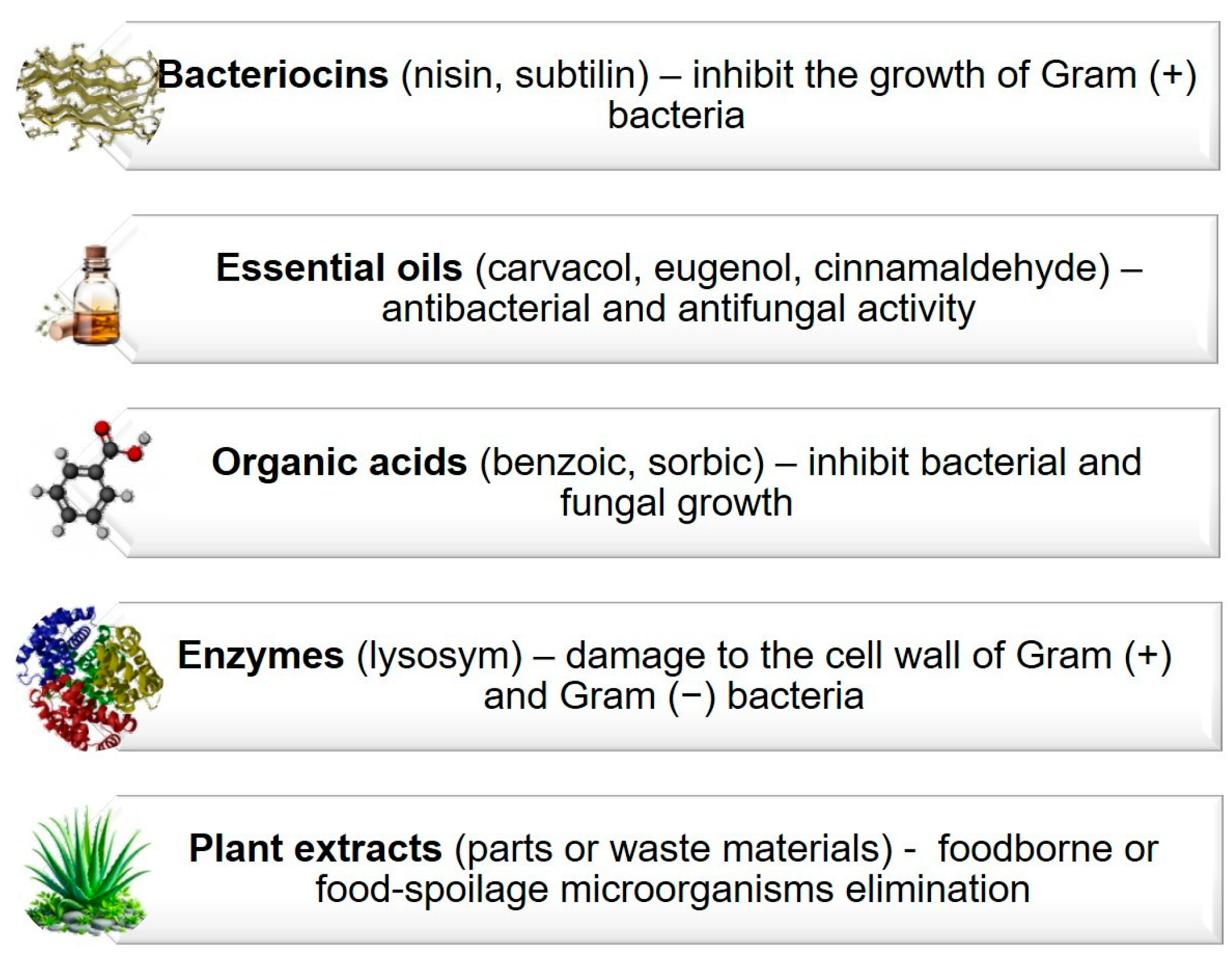 Applsci 15 01462 g005