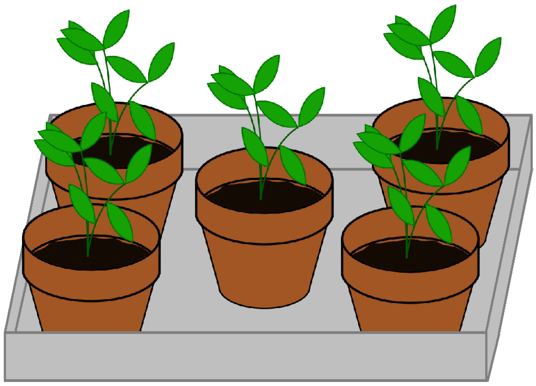 Applsci 15 01563 g001