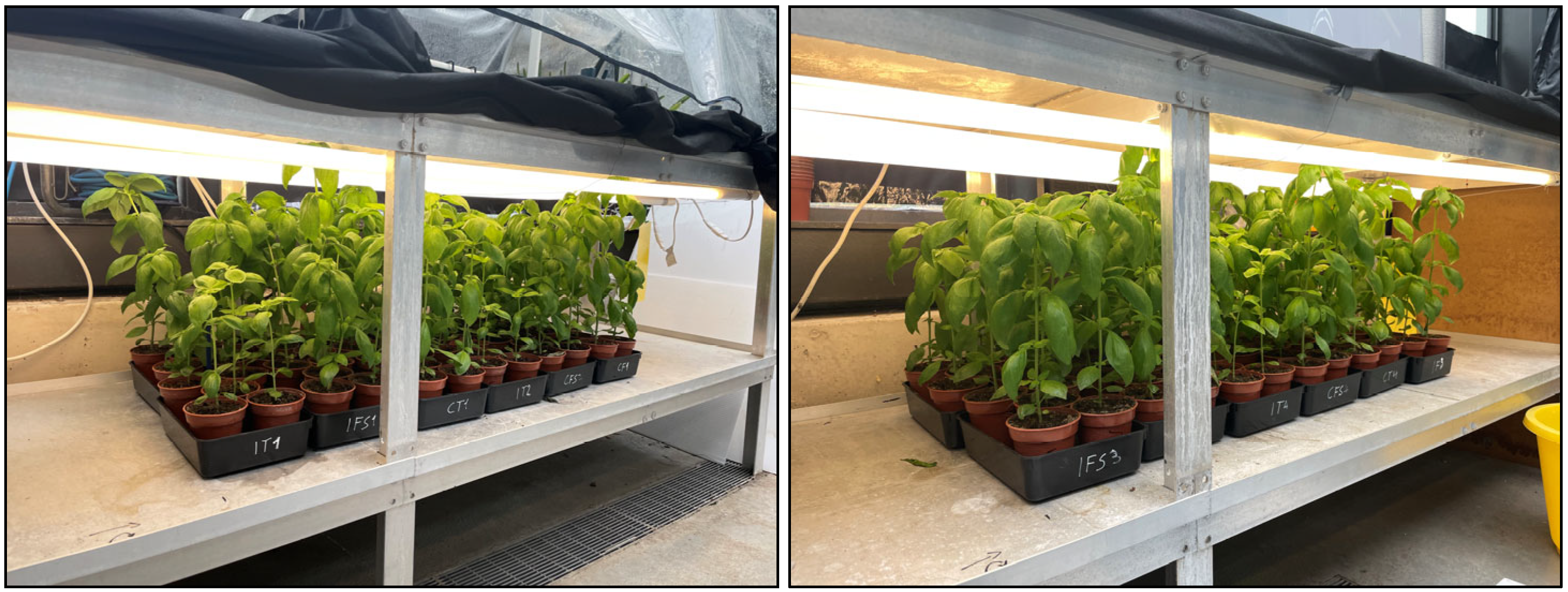 Applsci 15 01563 g002