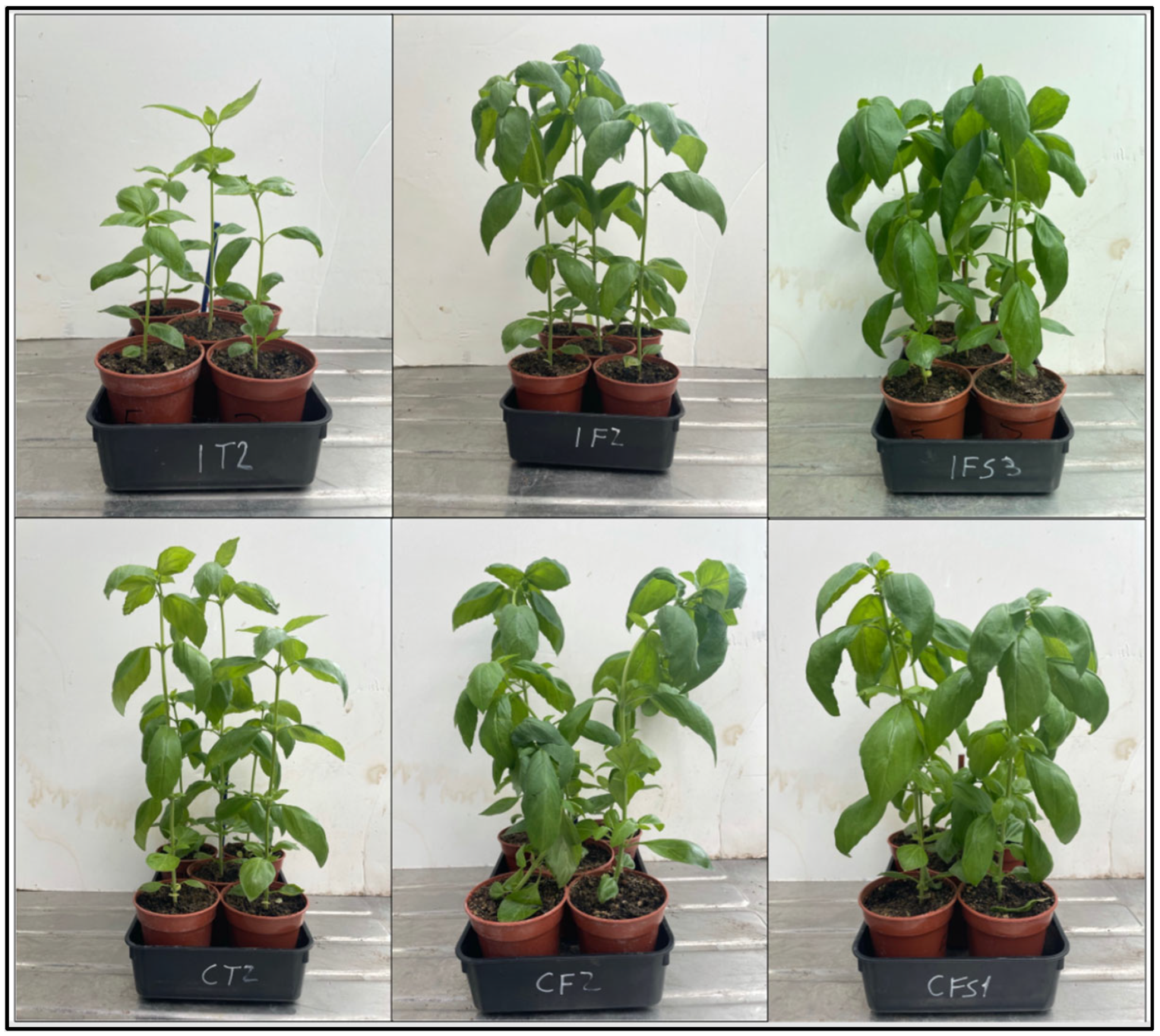 Applsci 15 01563 g003