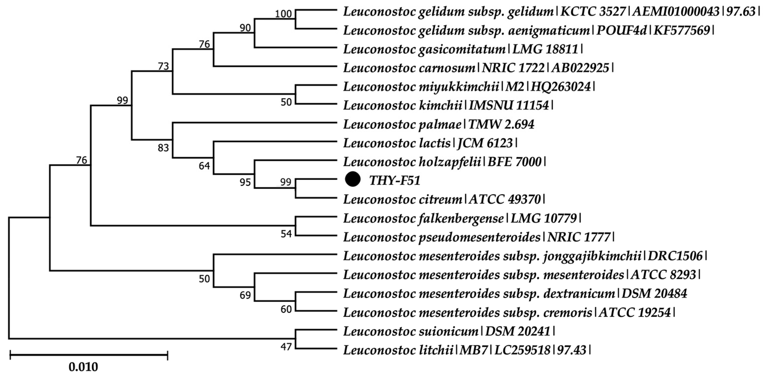 Applsci 15 01647 g001