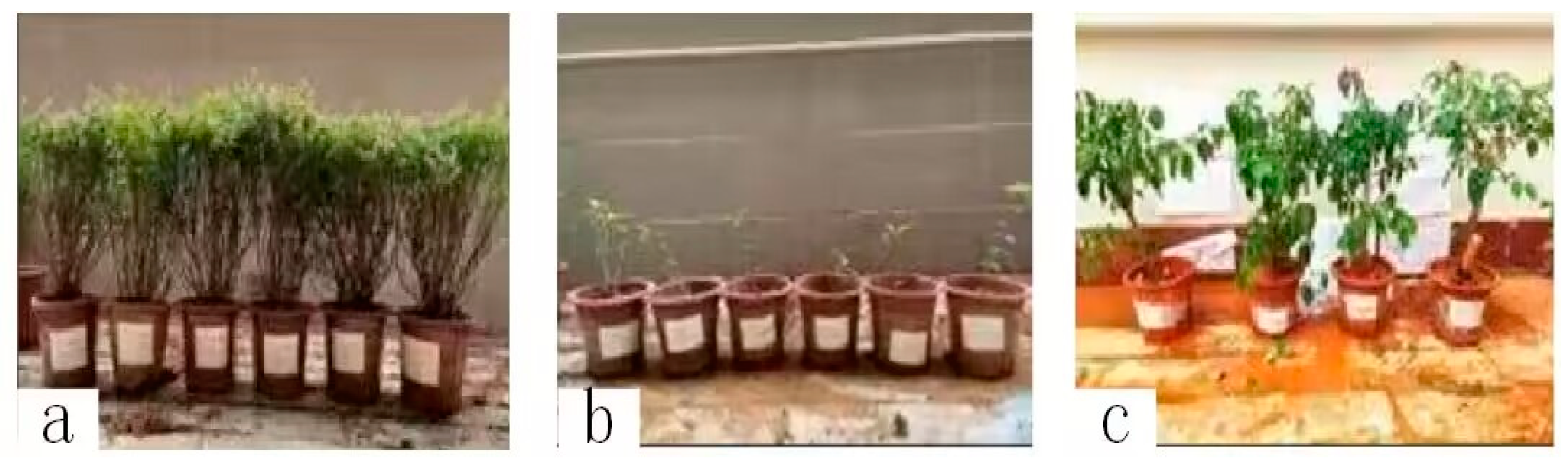 Applsci 15 01728 g002