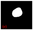 Applsci 15 02169 i005
