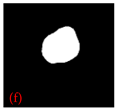 Applsci 15 02169 i006