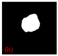 Applsci 15 02169 i008