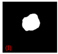 Applsci 15 02169 i012