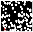 Applsci 15 02169 i018