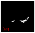 Applsci 15 02169 i031