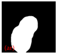 Applsci 15 02169 i044