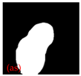 Applsci 15 02169 i045