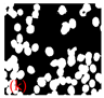 Applsci 15 02169 i059