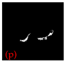 Applsci 15 02169 i064