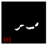 Applsci 15 02169 i066