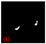 Applsci 15 02169 i068