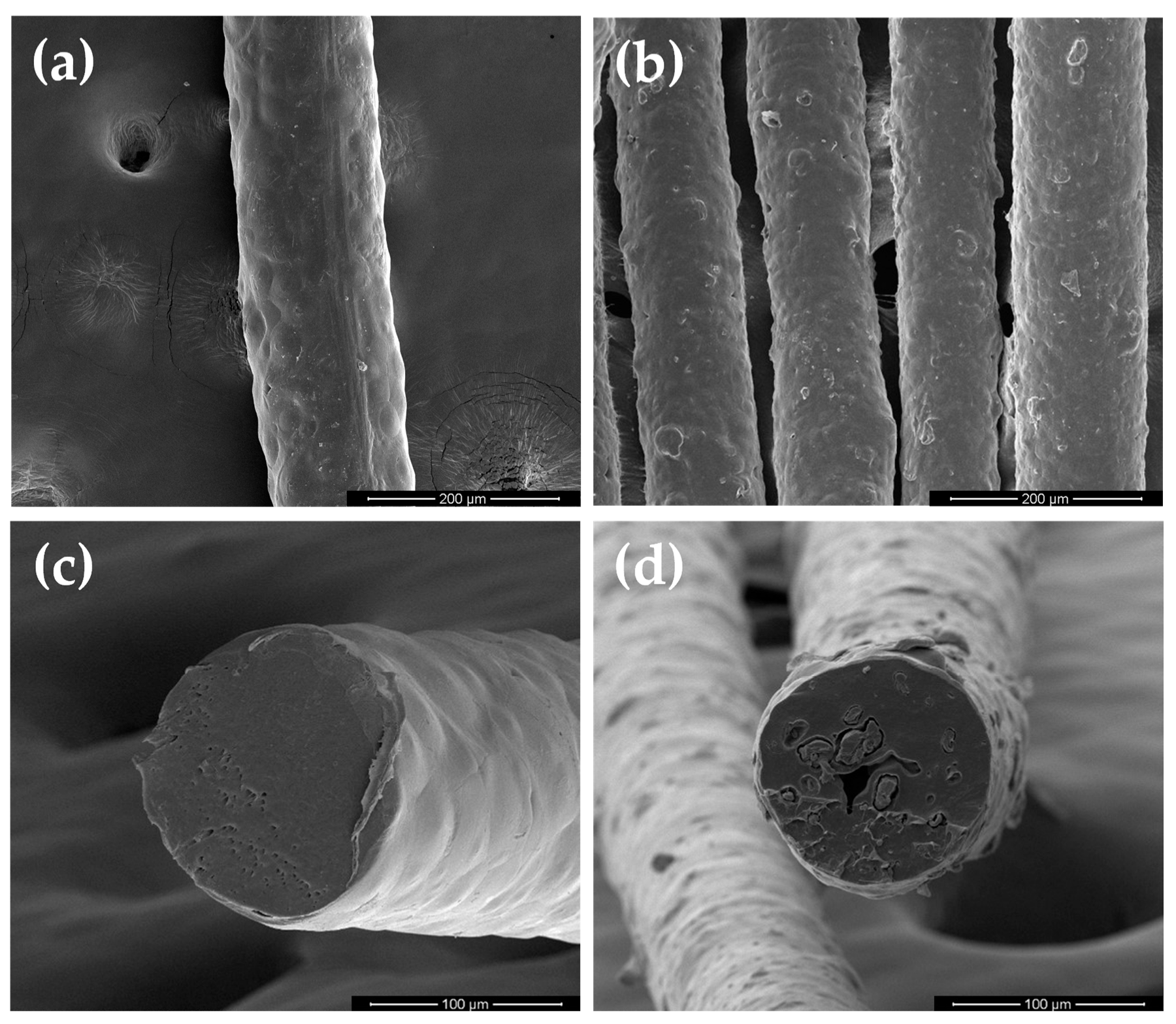 Applsci 15 02301 g003 Applsci 15 02301 g003