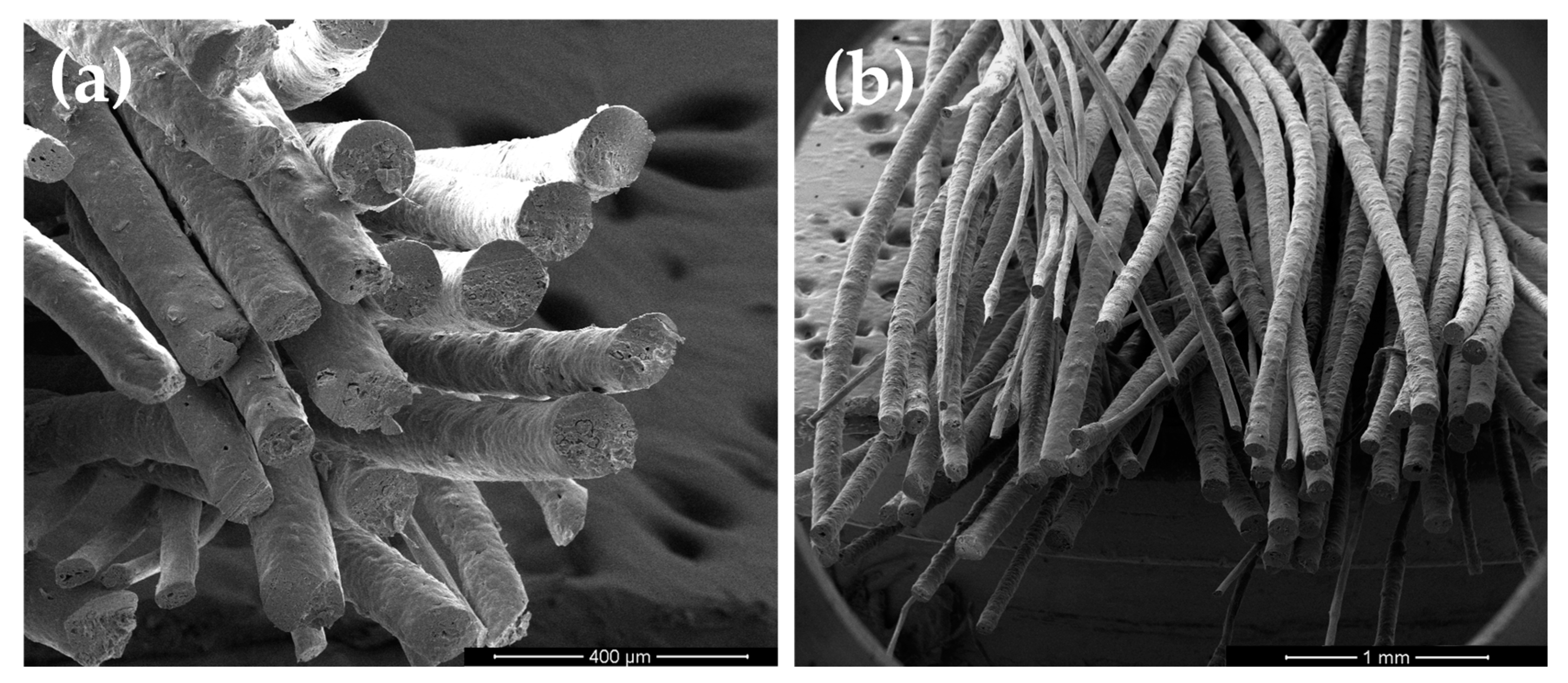 Applsci 15 02301 g007 Applsci 15 02301 g007