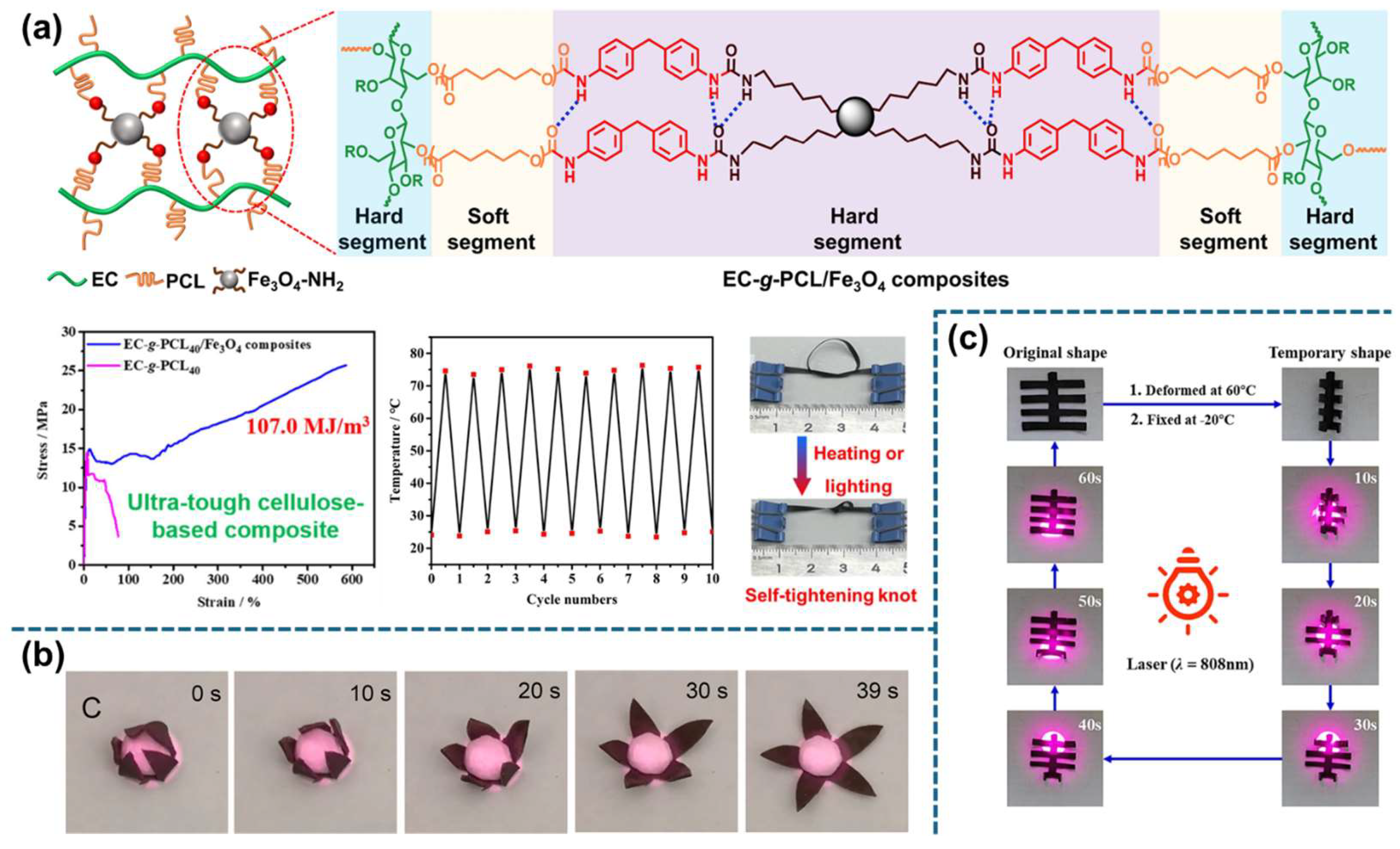 Applsci 15 02419 g005