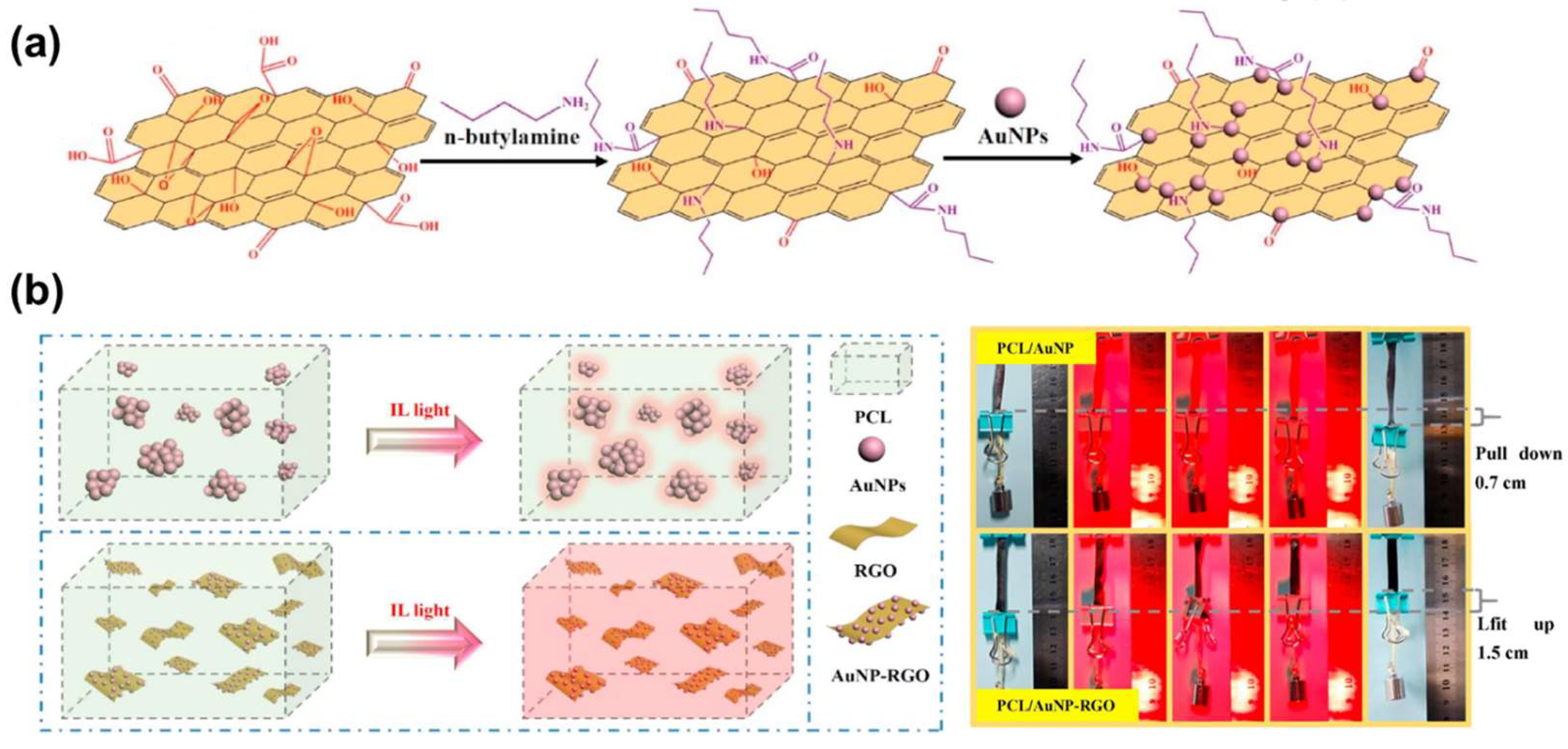 Applsci 15 02419 g006