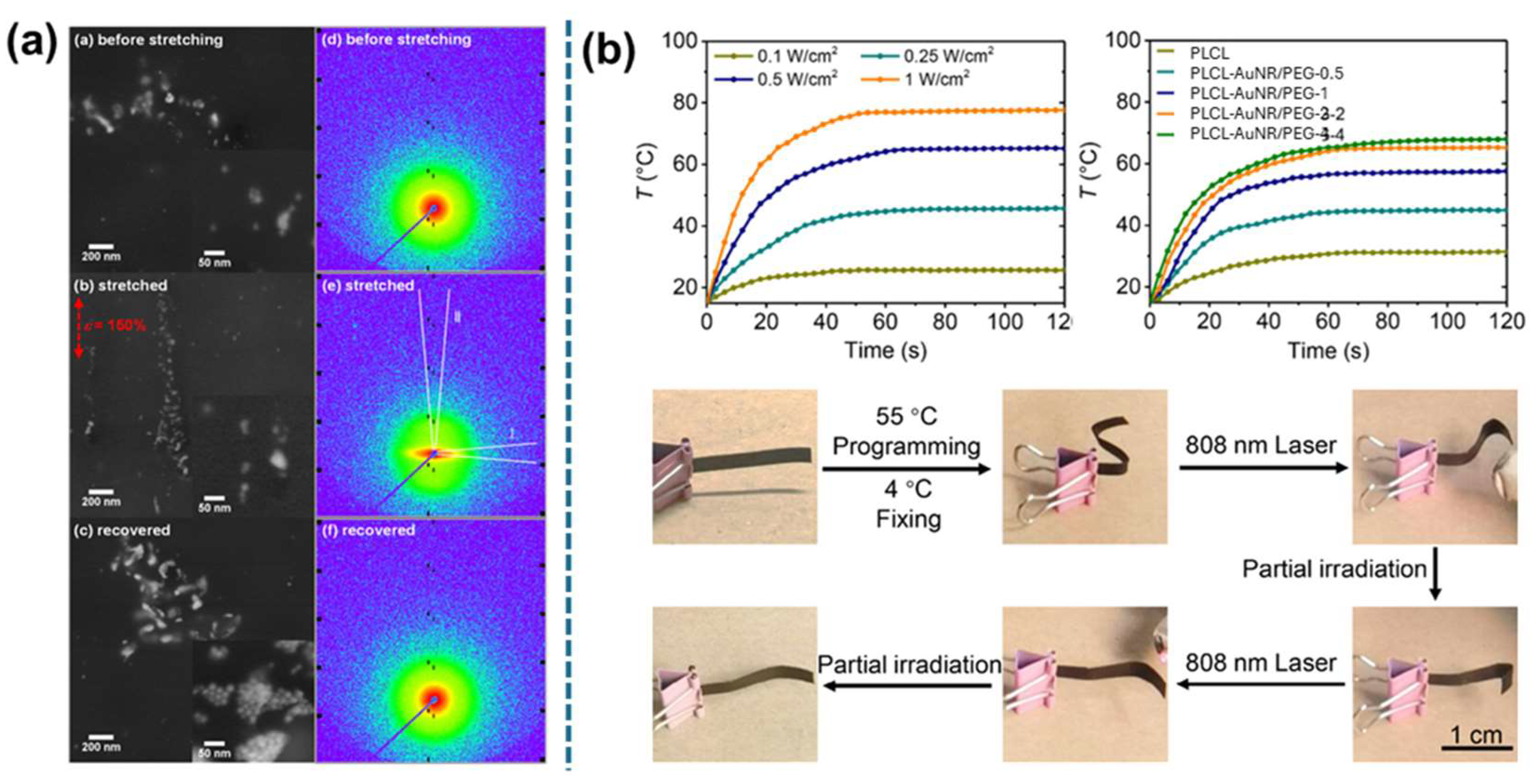 Applsci 15 02419 g007