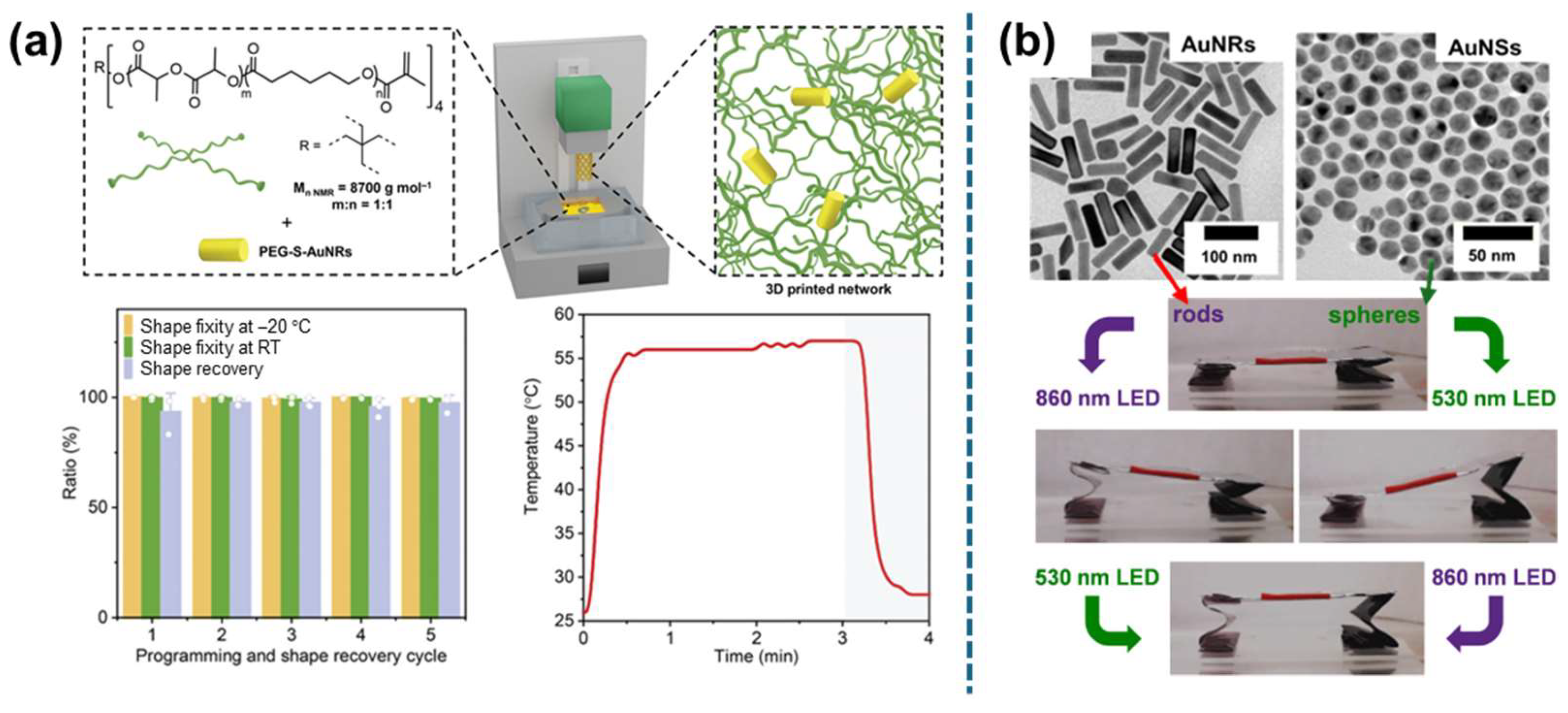 Applsci 15 02419 g008
