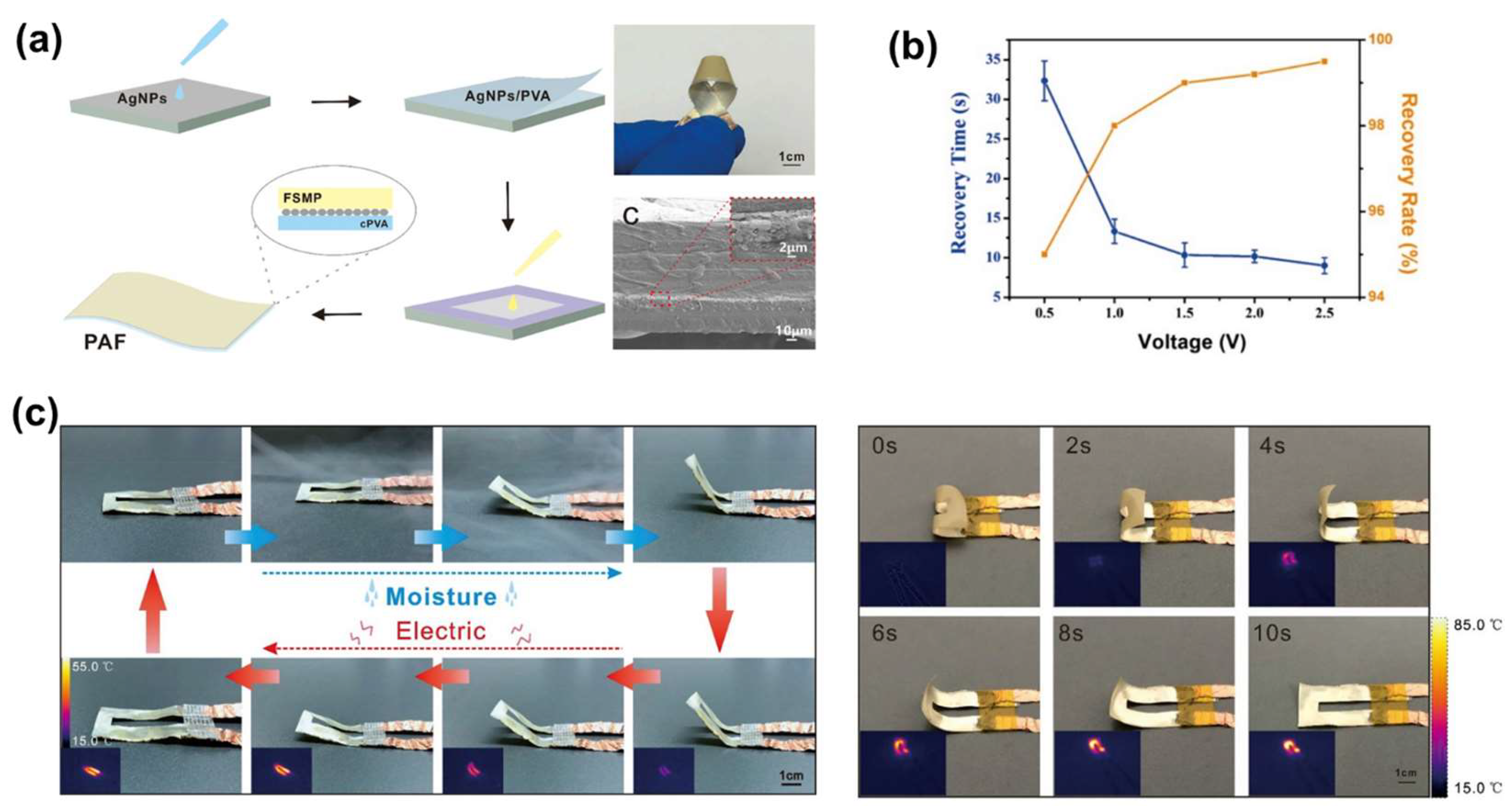 Applsci 15 02419 g009