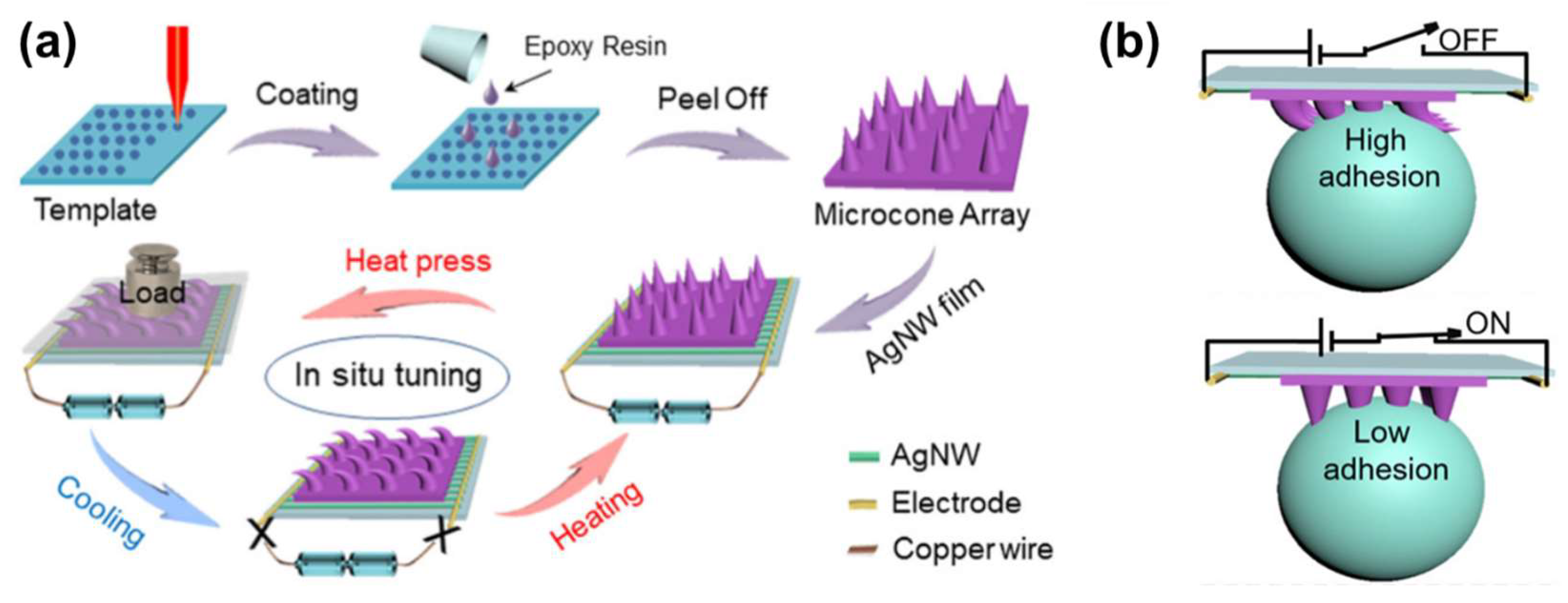 Applsci 15 02419 g011
