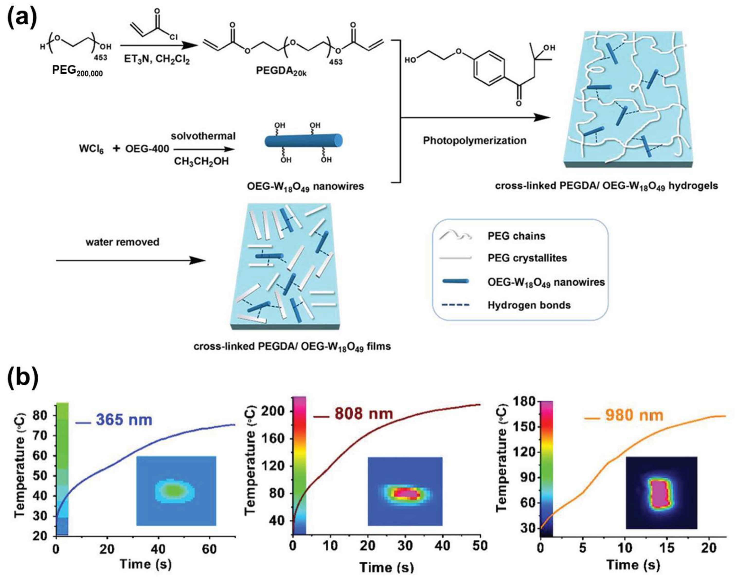 Applsci 15 02419 g012