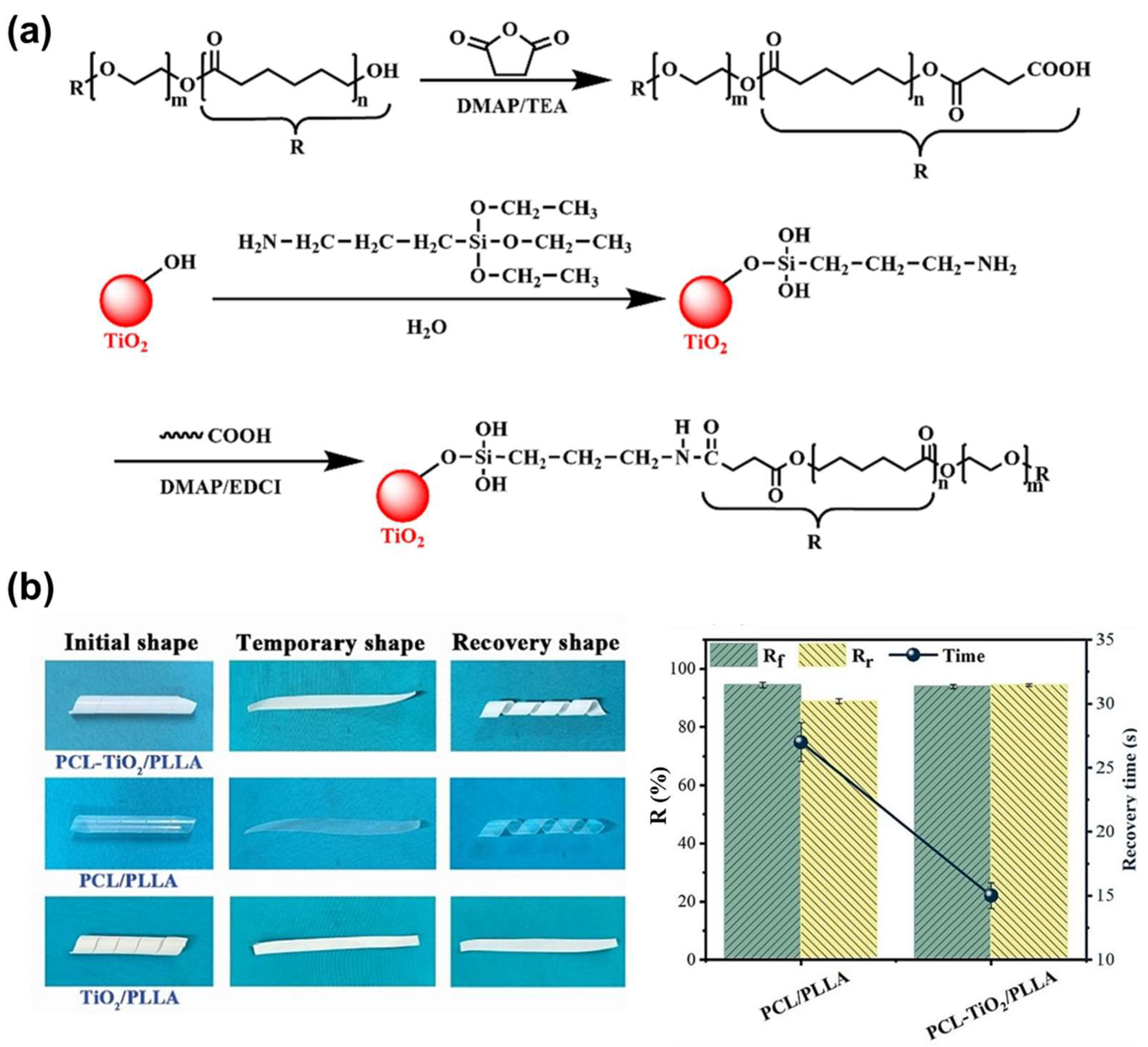 Applsci 15 02419 g013
