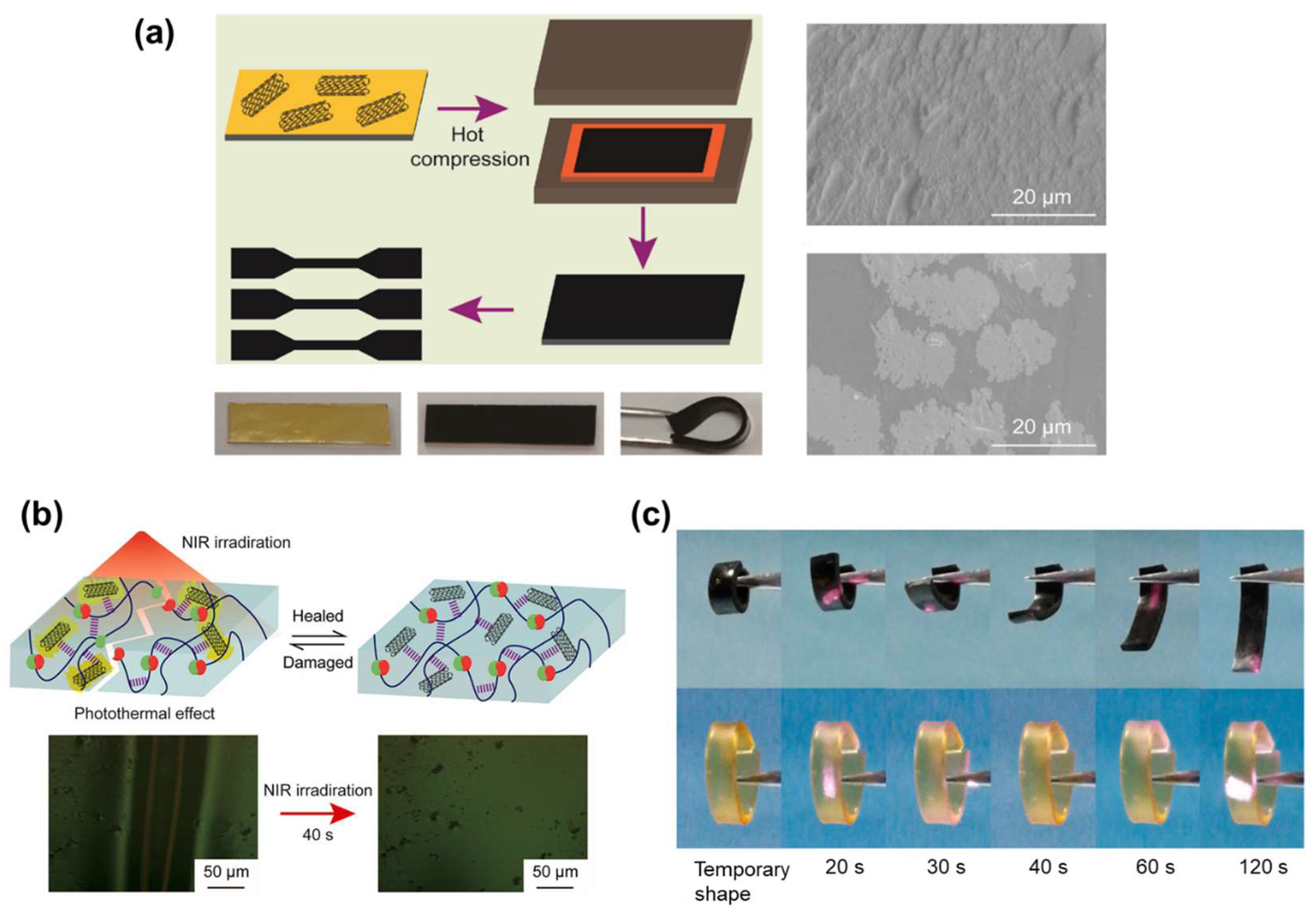 Applsci 15 02419 g016