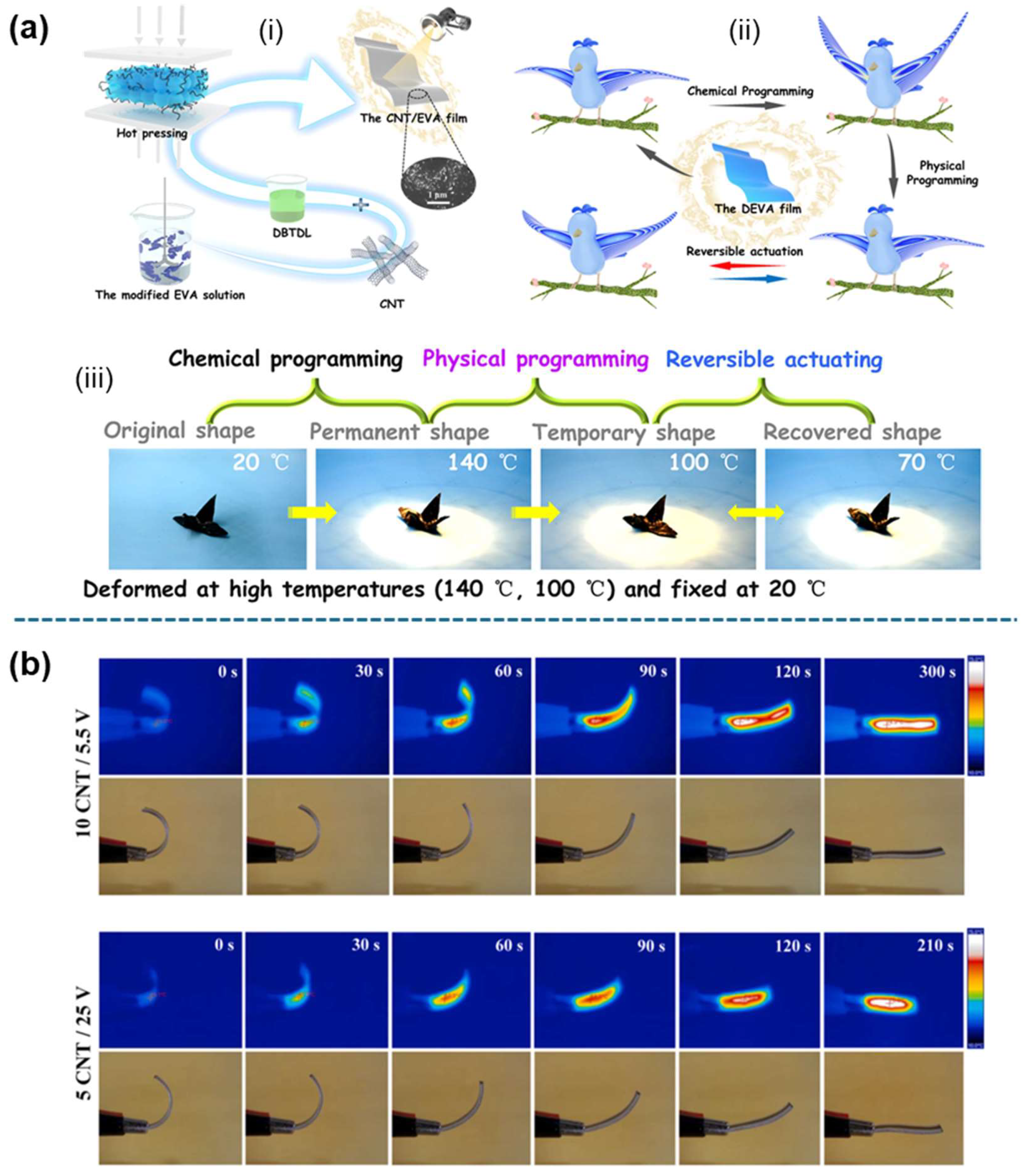 Applsci 15 02419 g017
