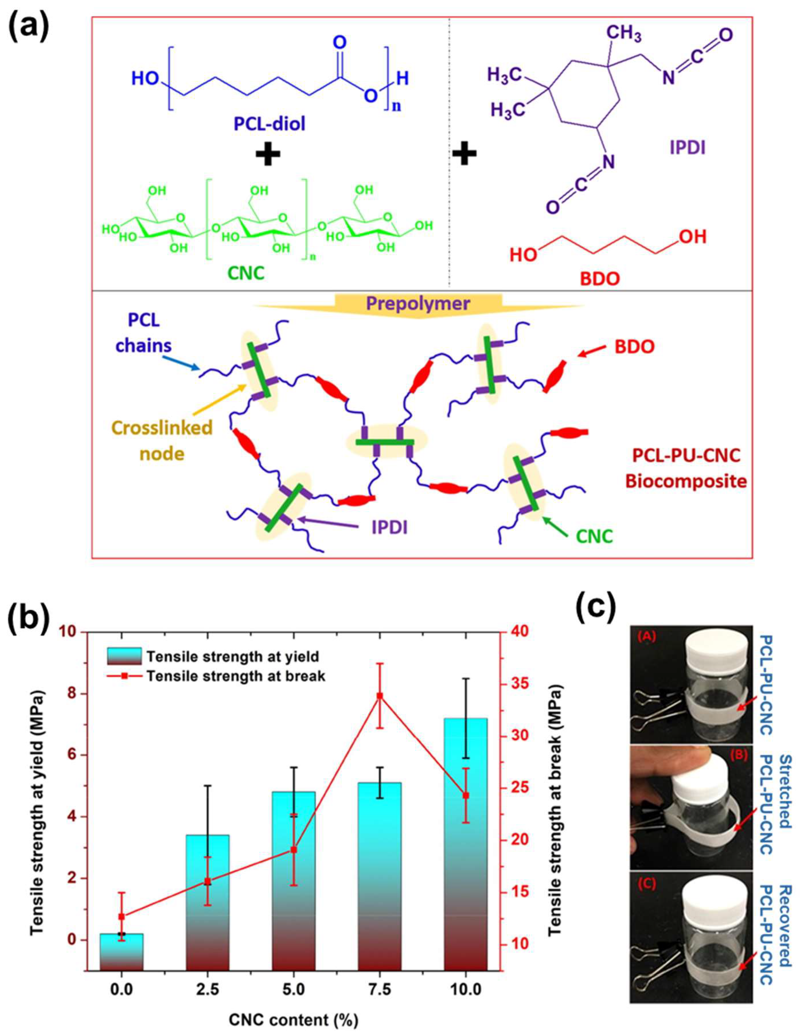 Applsci 15 02419 g021
