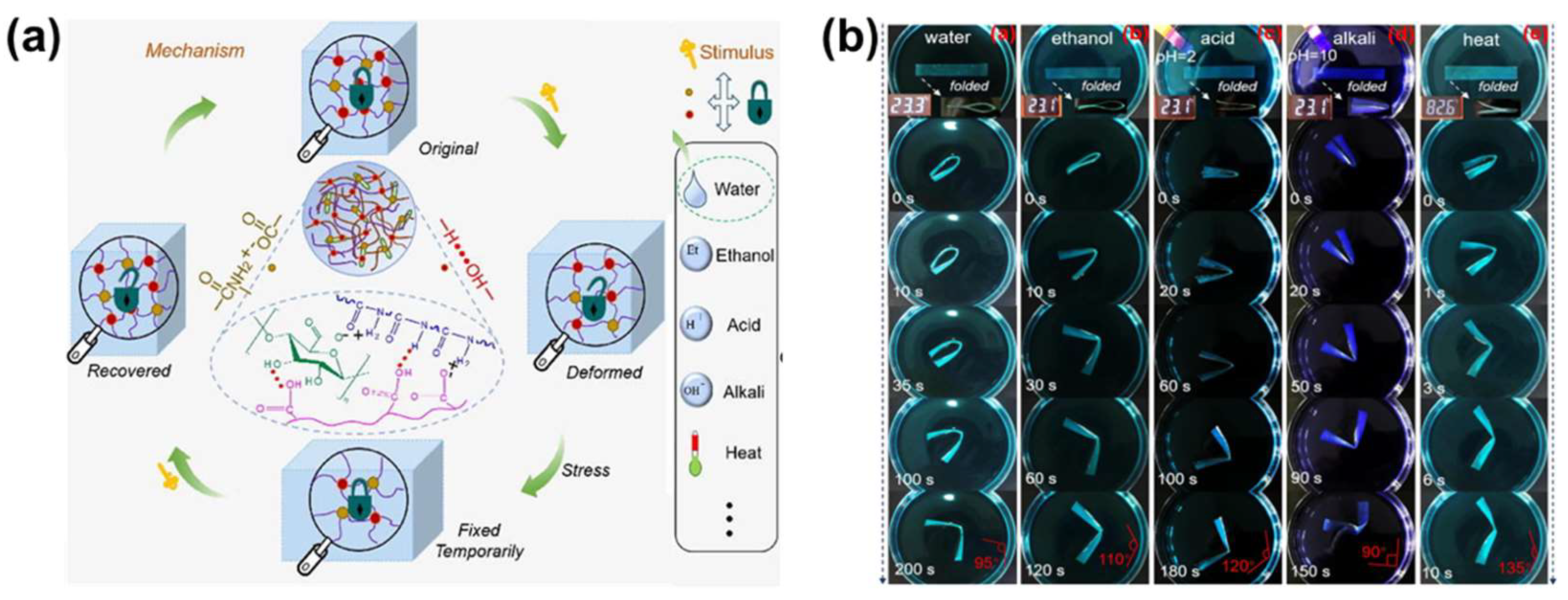 Applsci 15 02419 g022