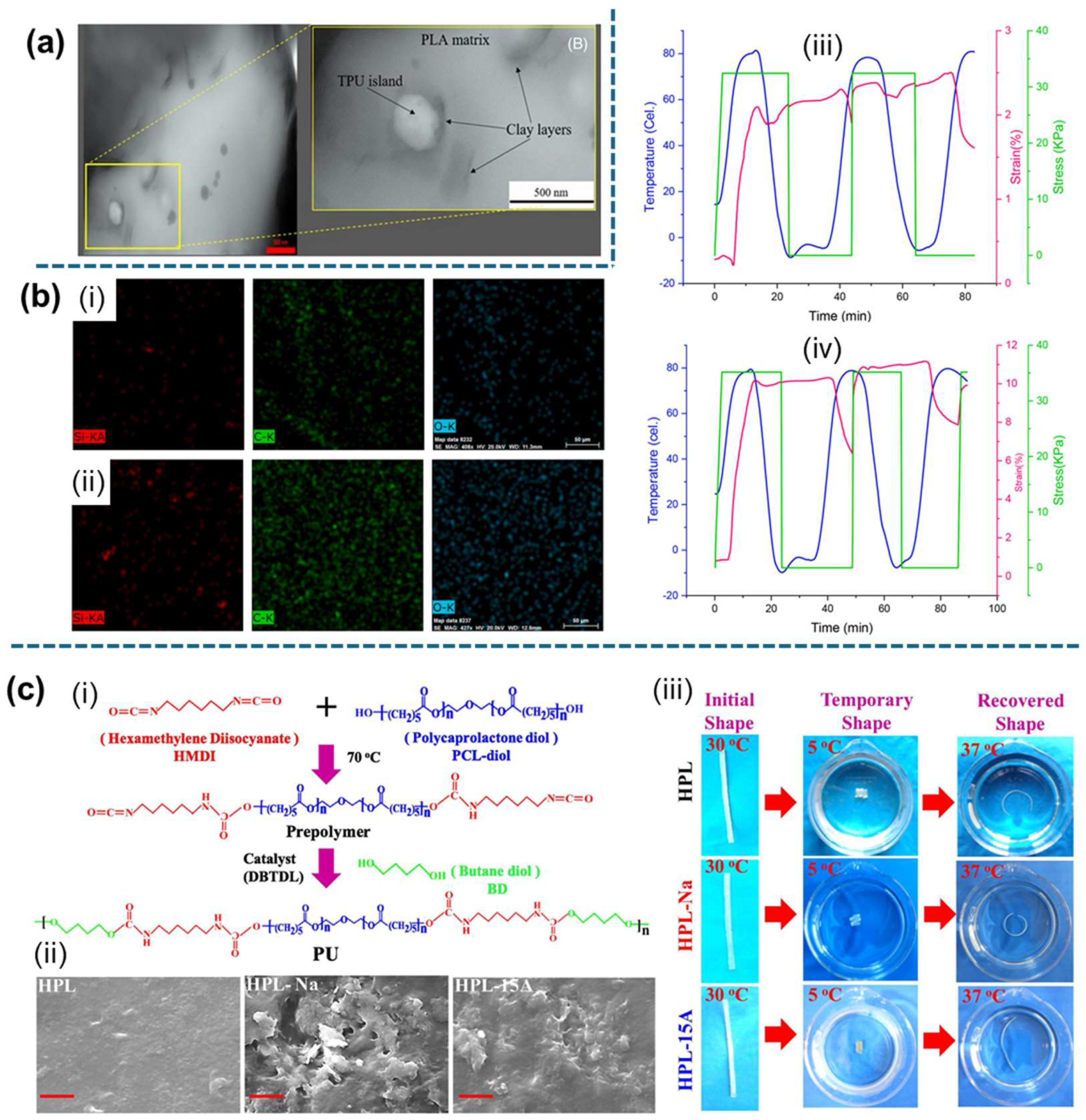Applsci 15 02419 g025